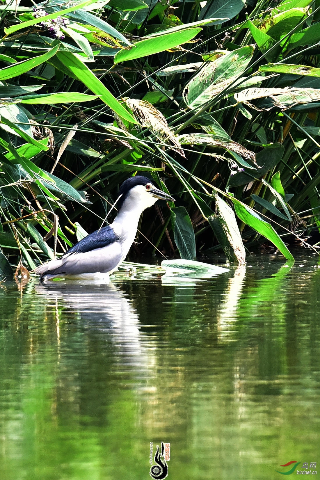DSC_9735.JPG