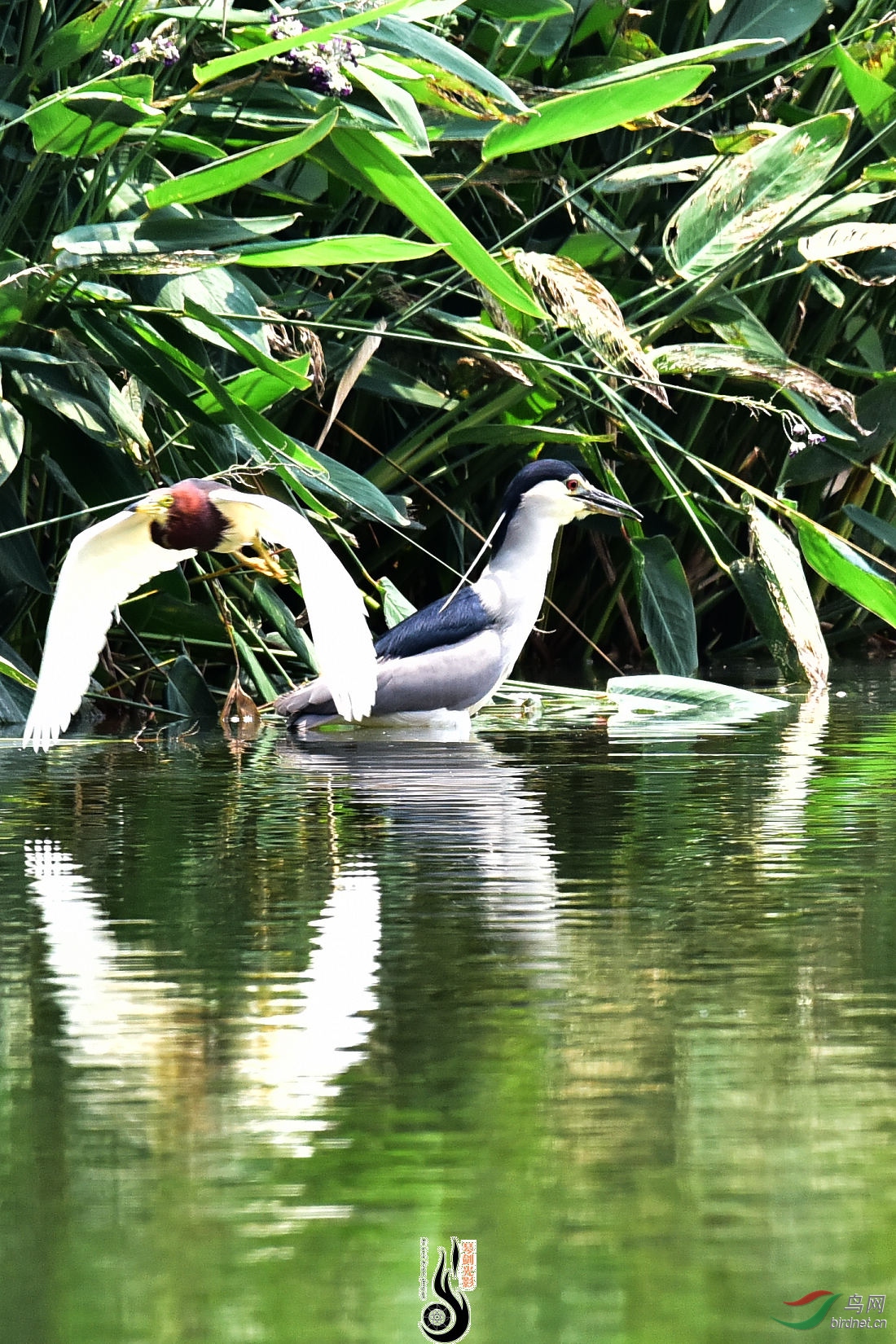 DSC_9736.JPG