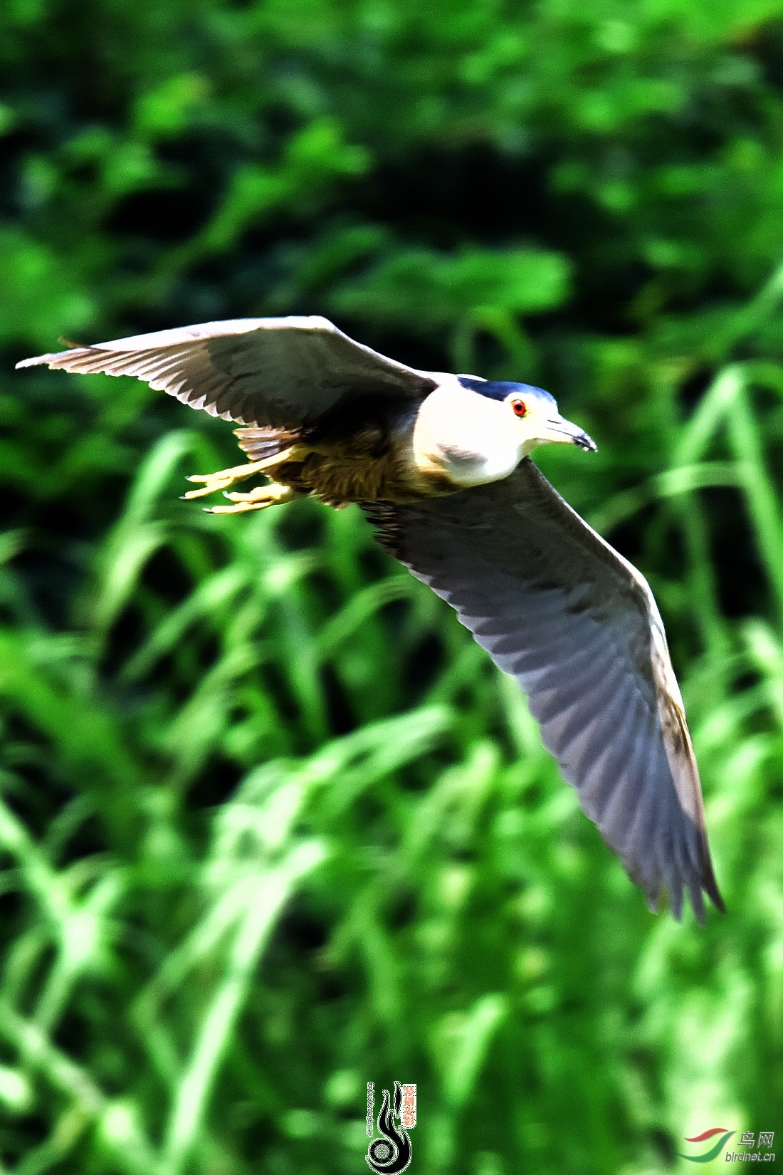 DSC_9998.JPG