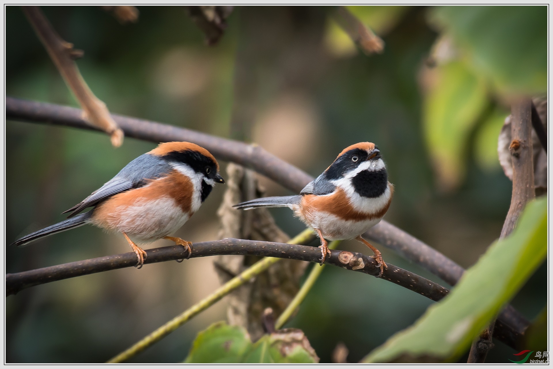 6���в���