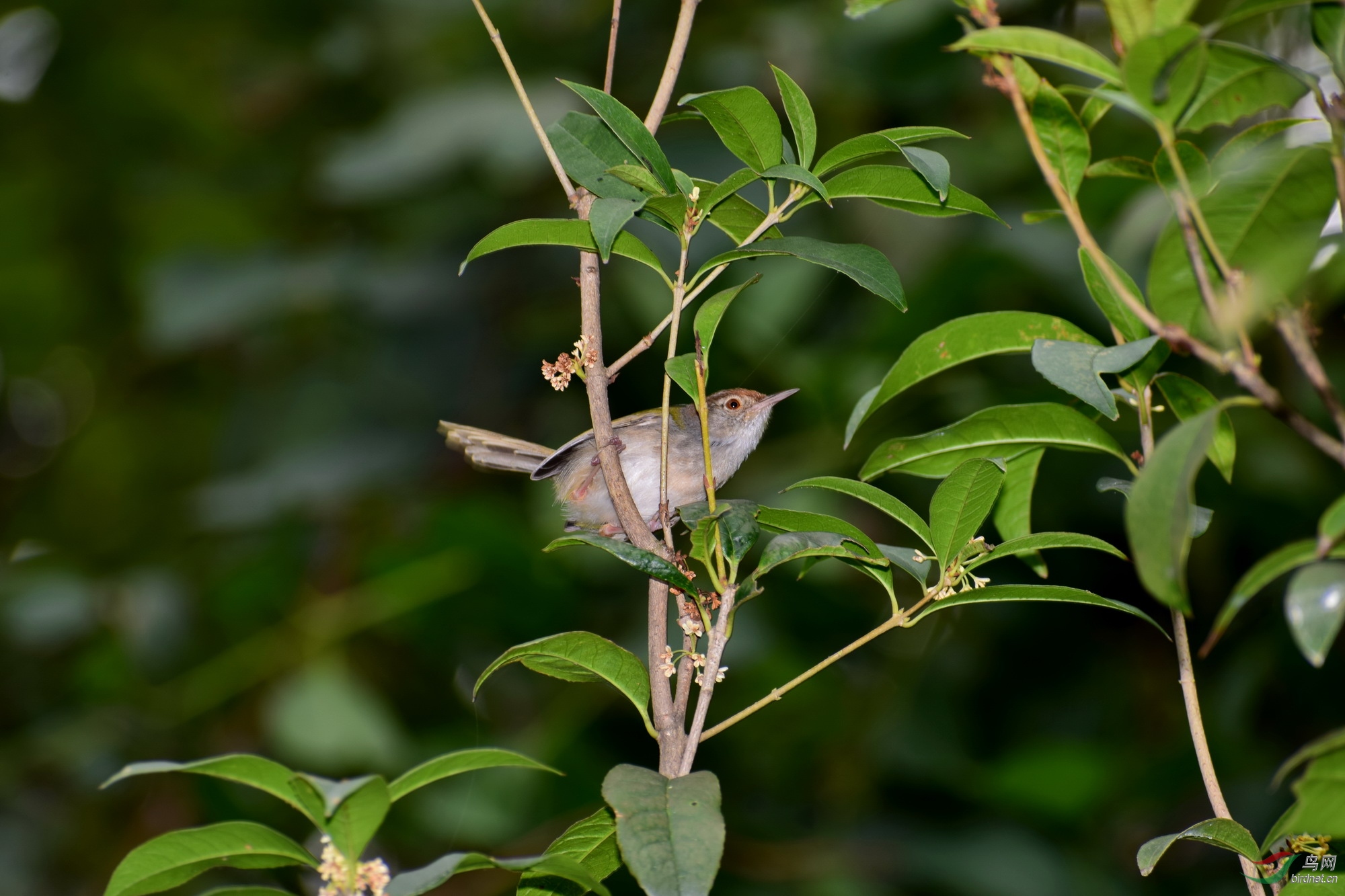 DSC_3186.JPG