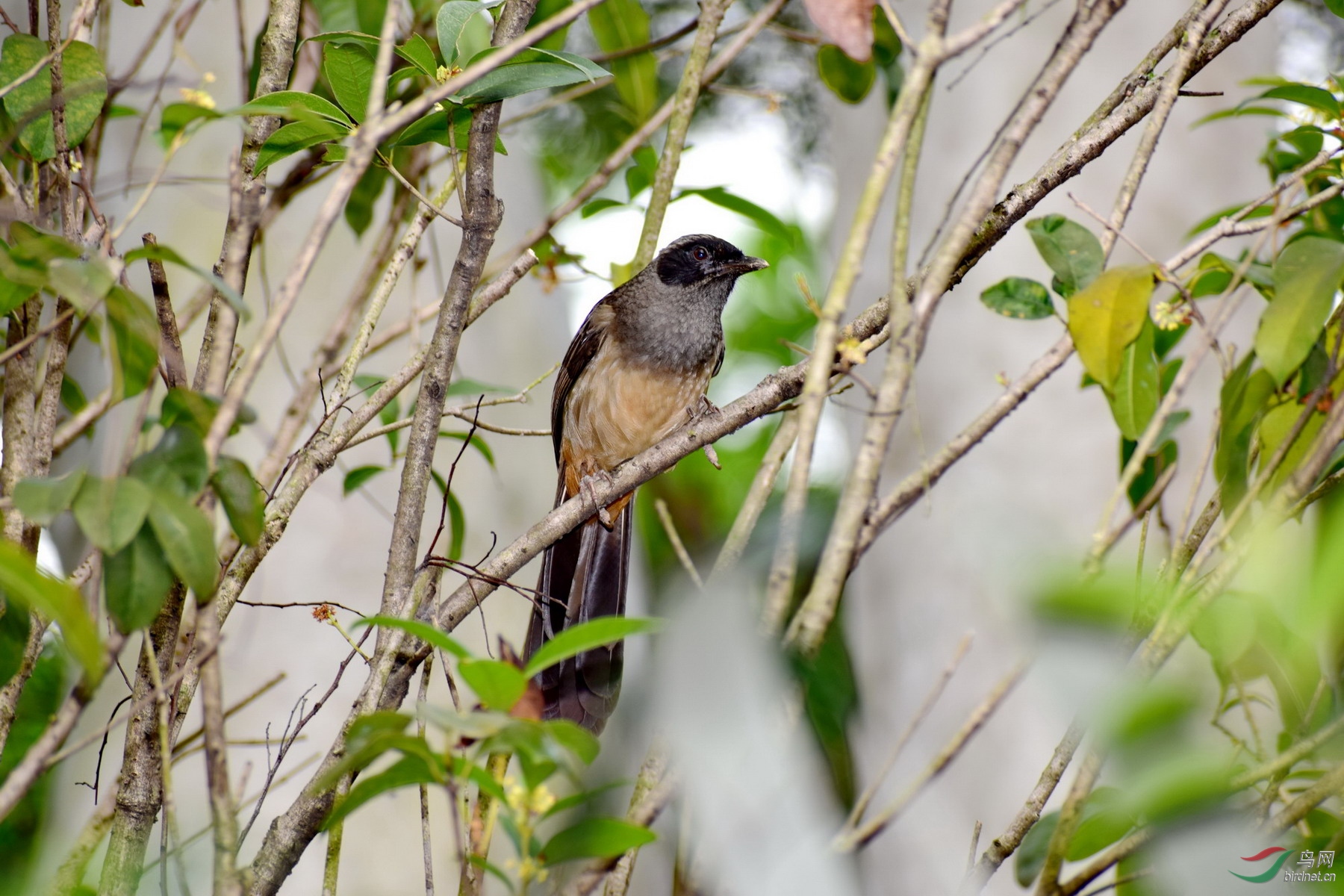 DSC_3202.JPG