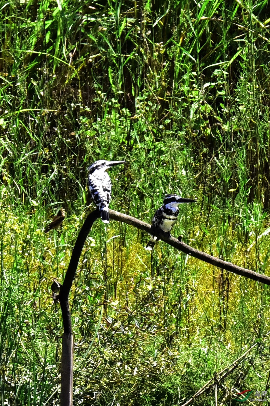 DSC_0109.JPG
