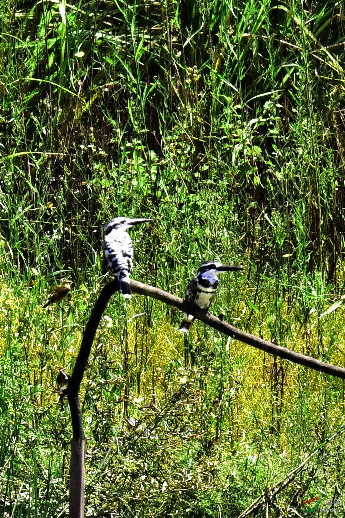 DSC_0110.JPG