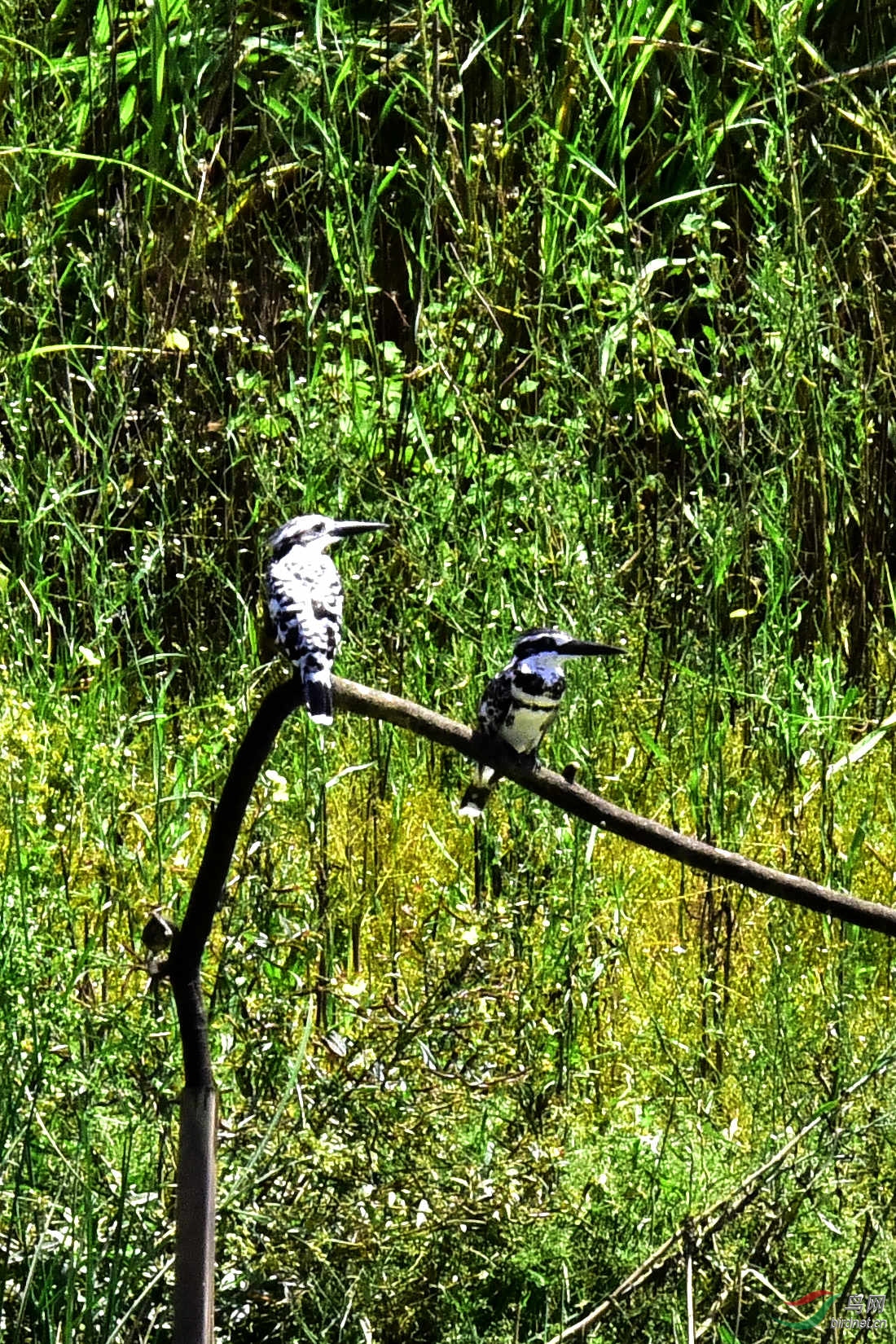 DSC_0111.JPG
