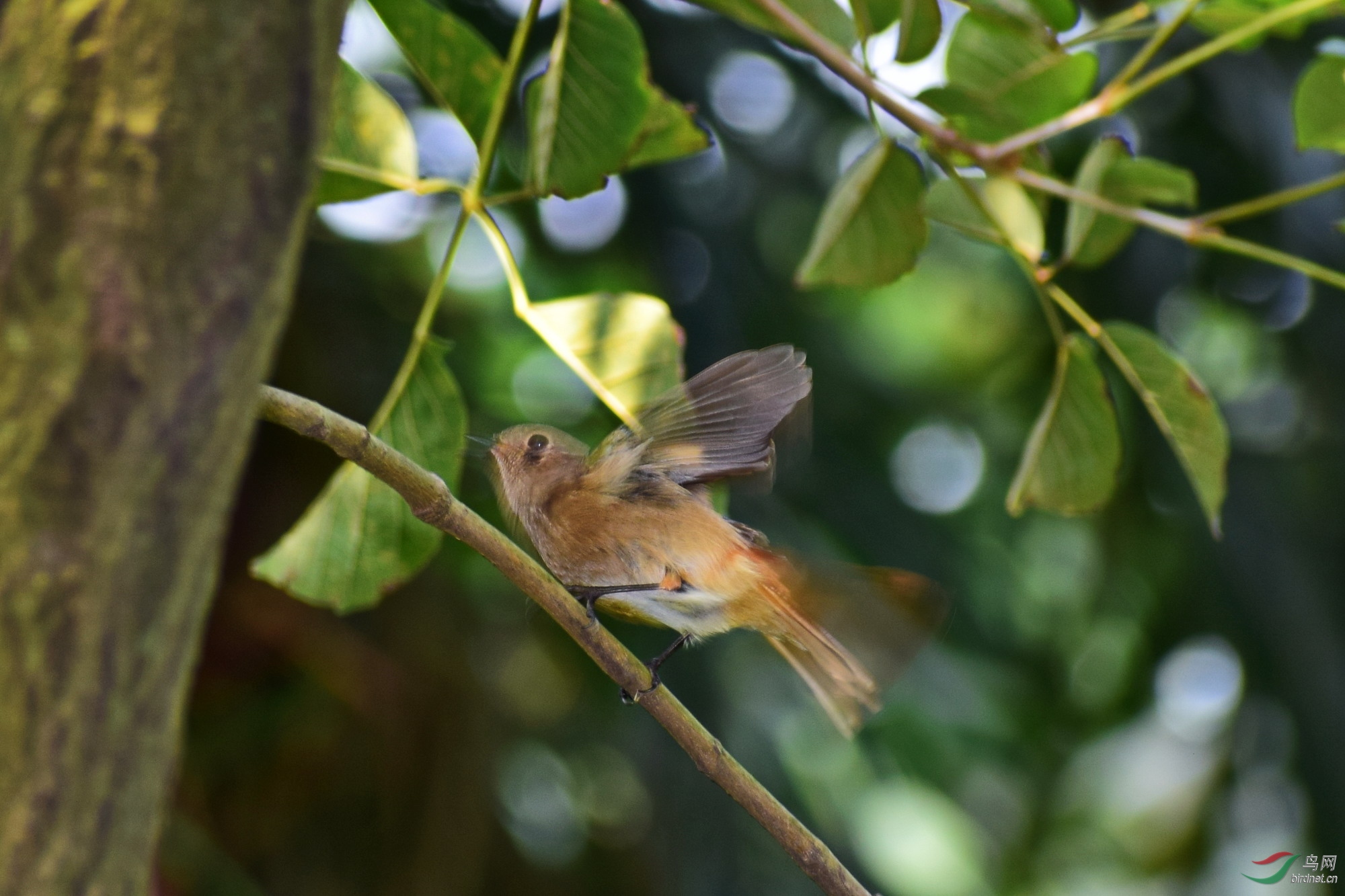 DSC_3273.JPG
