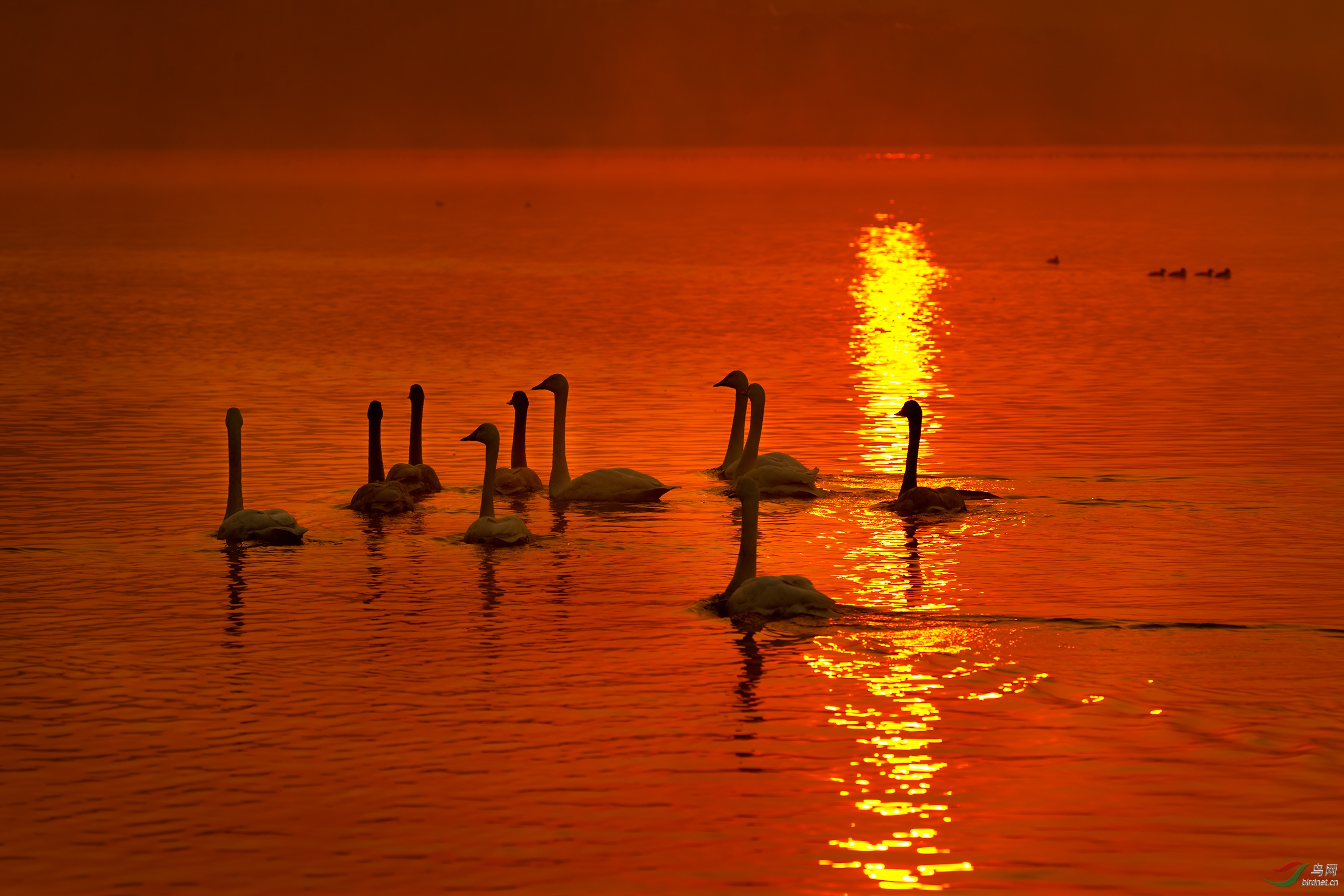 ����ϼ��