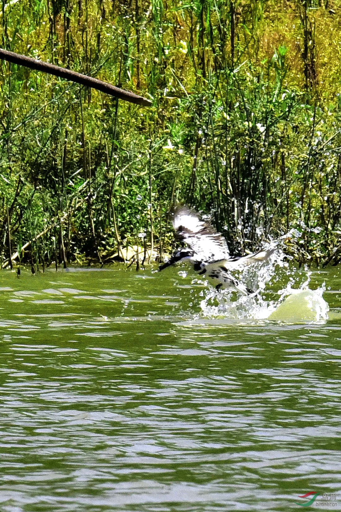DSC_0117.JPG