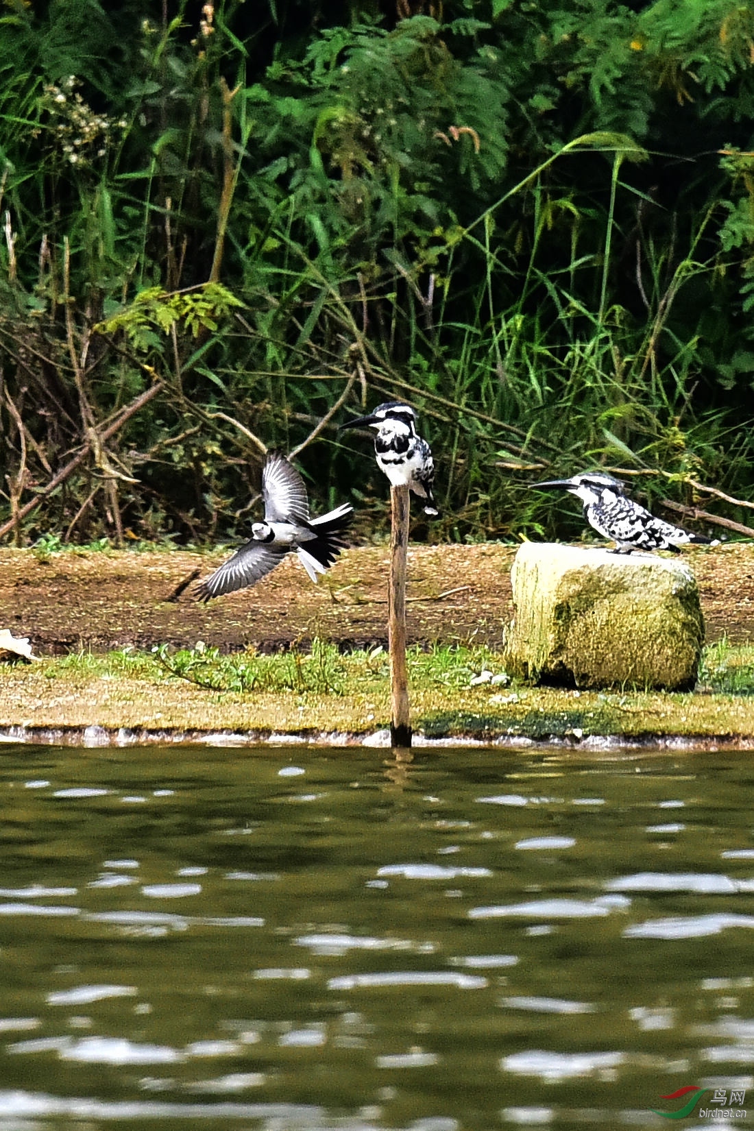 DSC_0139.JPG