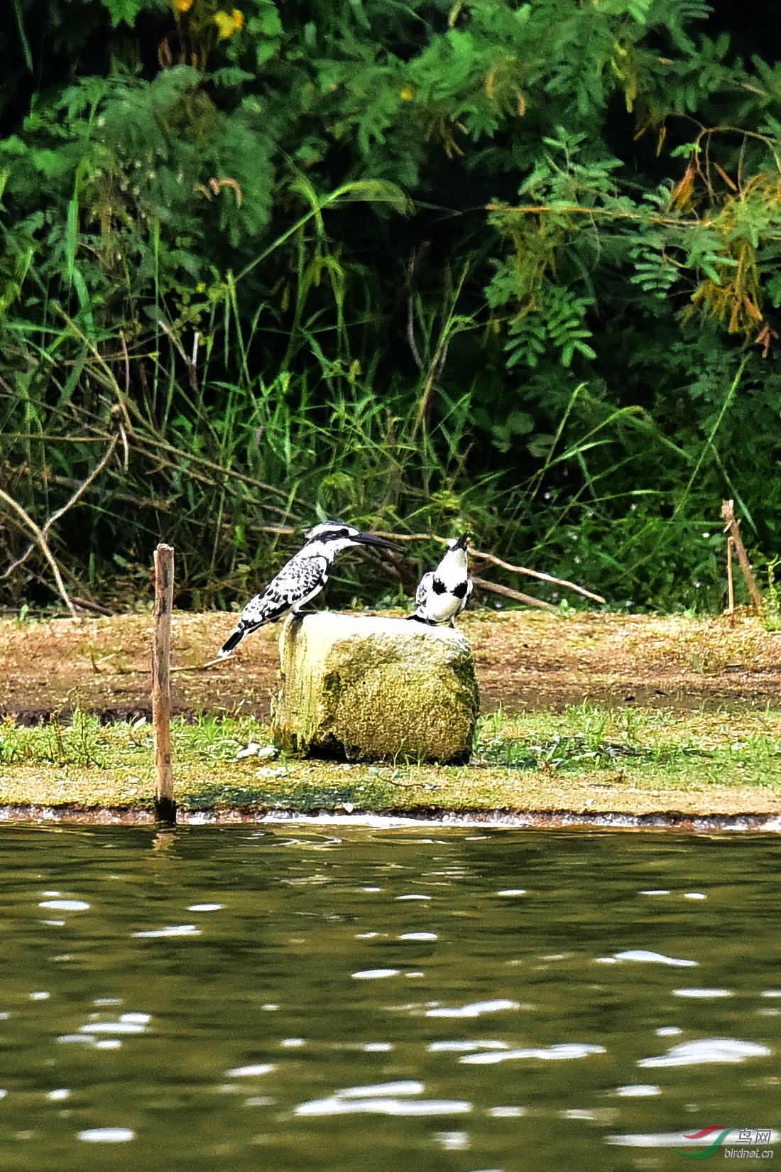 DSC_0144.JPG