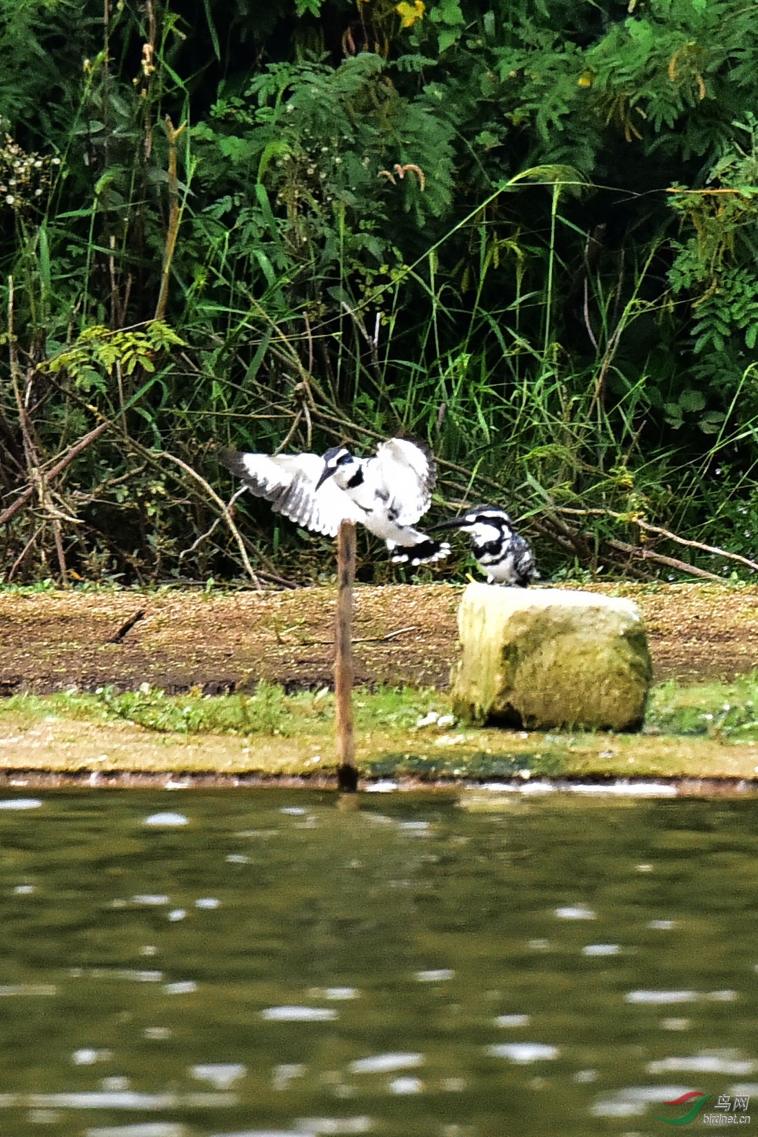 DSC_0146.JPG
