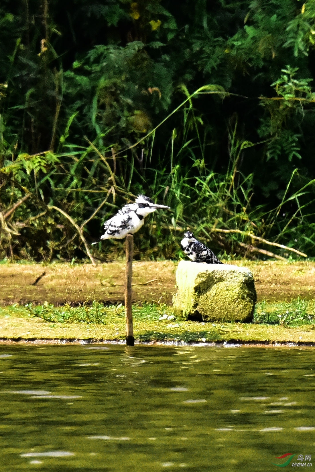 DSC_0149.JPG