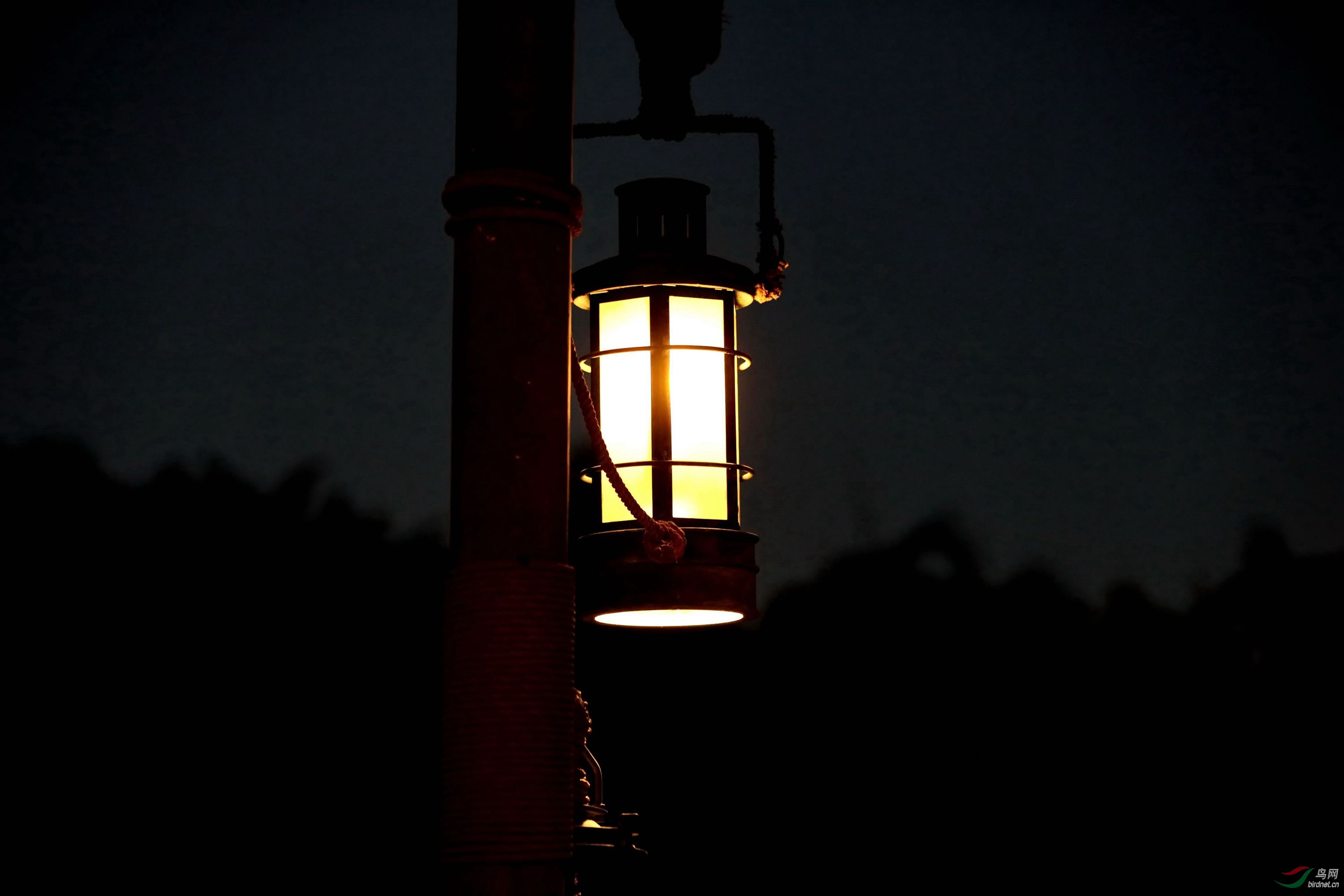 黑夜一盏灯光的图片图片