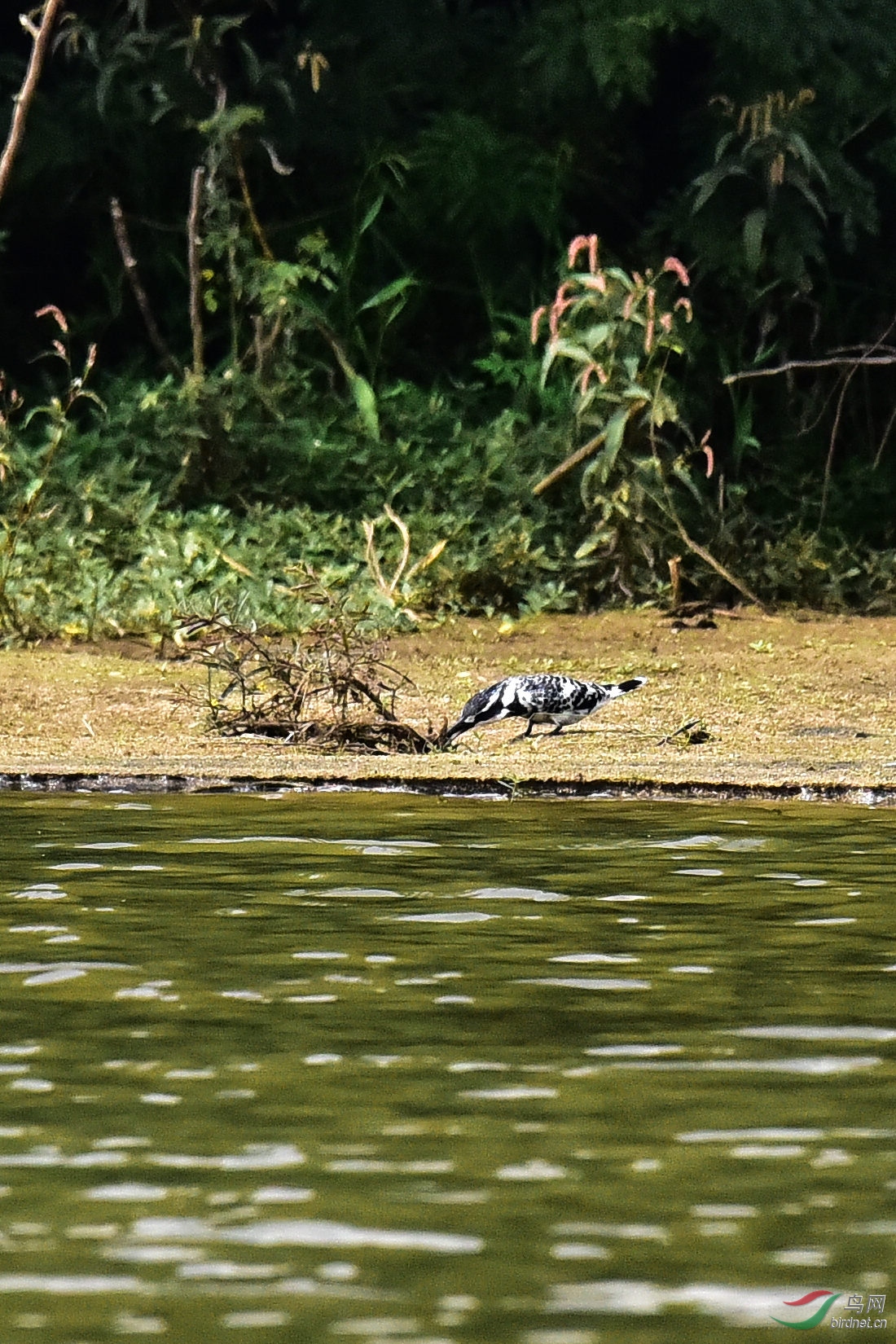 DSC_0151.JPG
