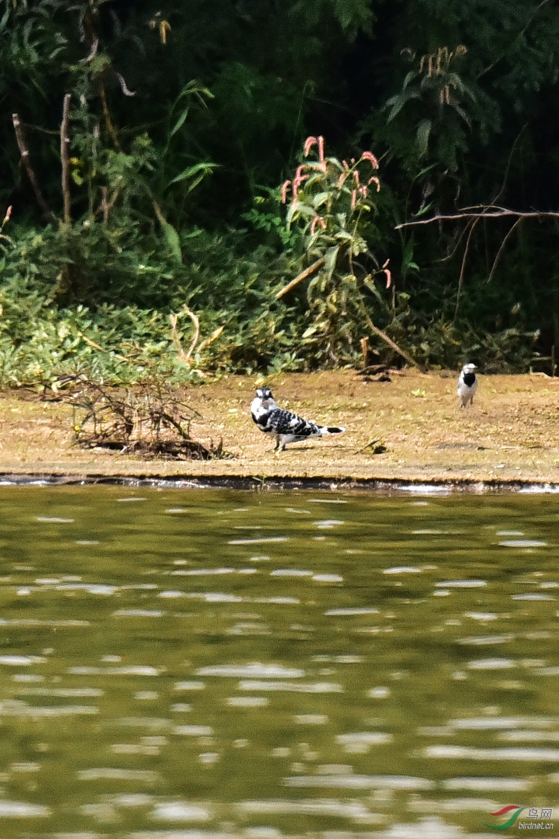 DSC_0155.JPG