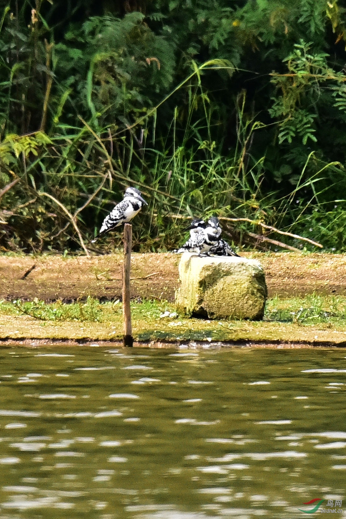 DSC_0170.JPG