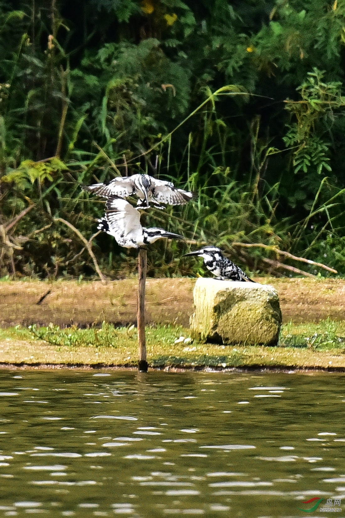 DSC_0178.JPG