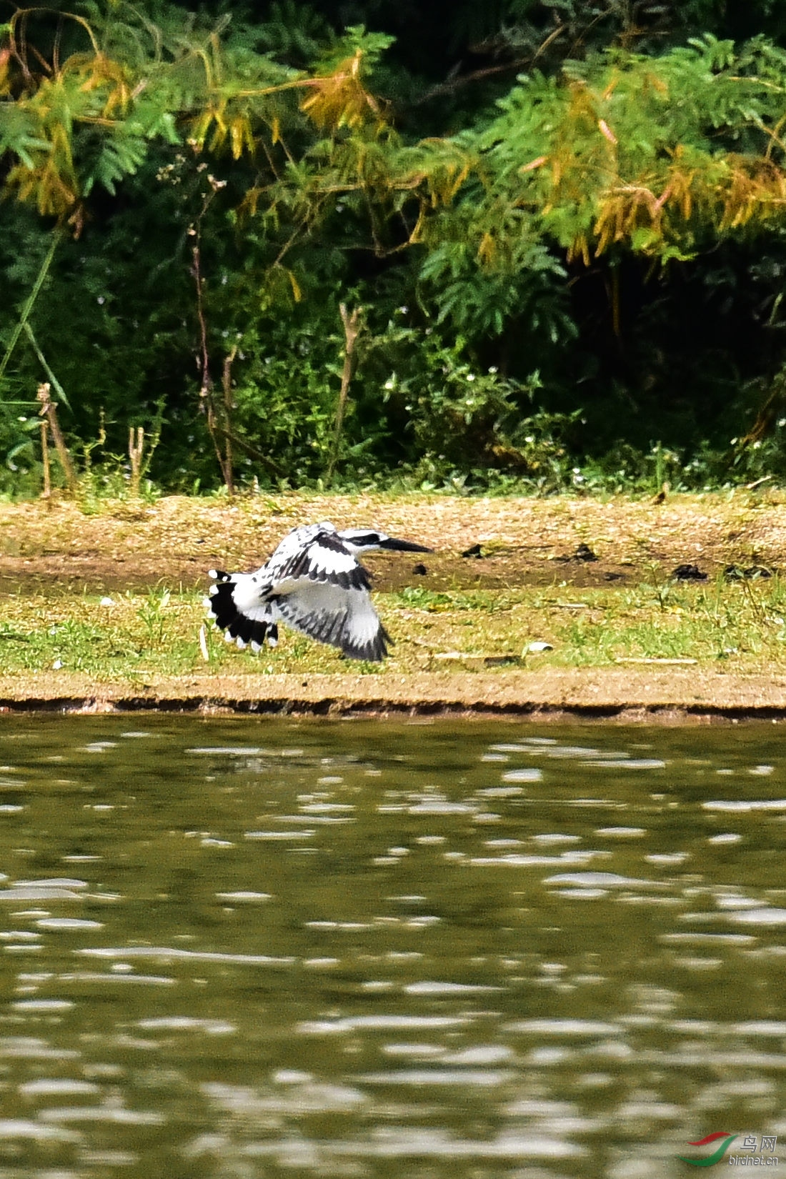DSC_0184.JPG