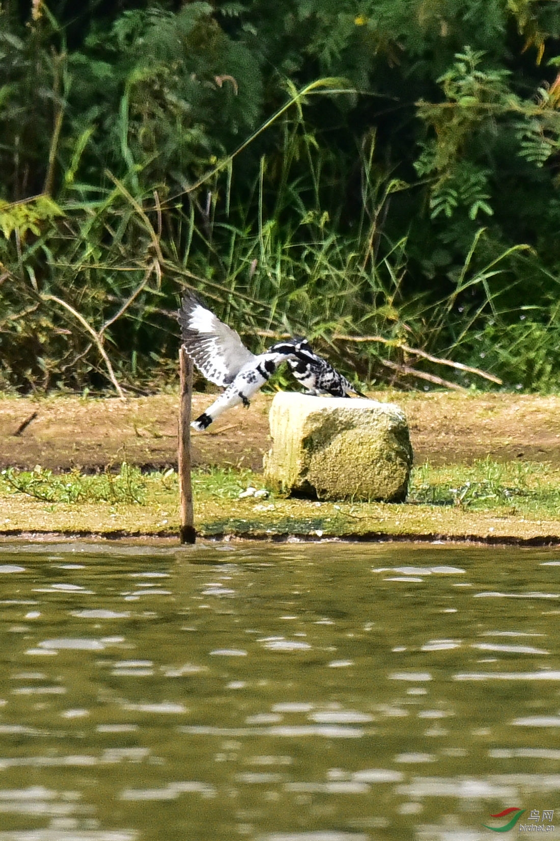 DSC_0186.JPG