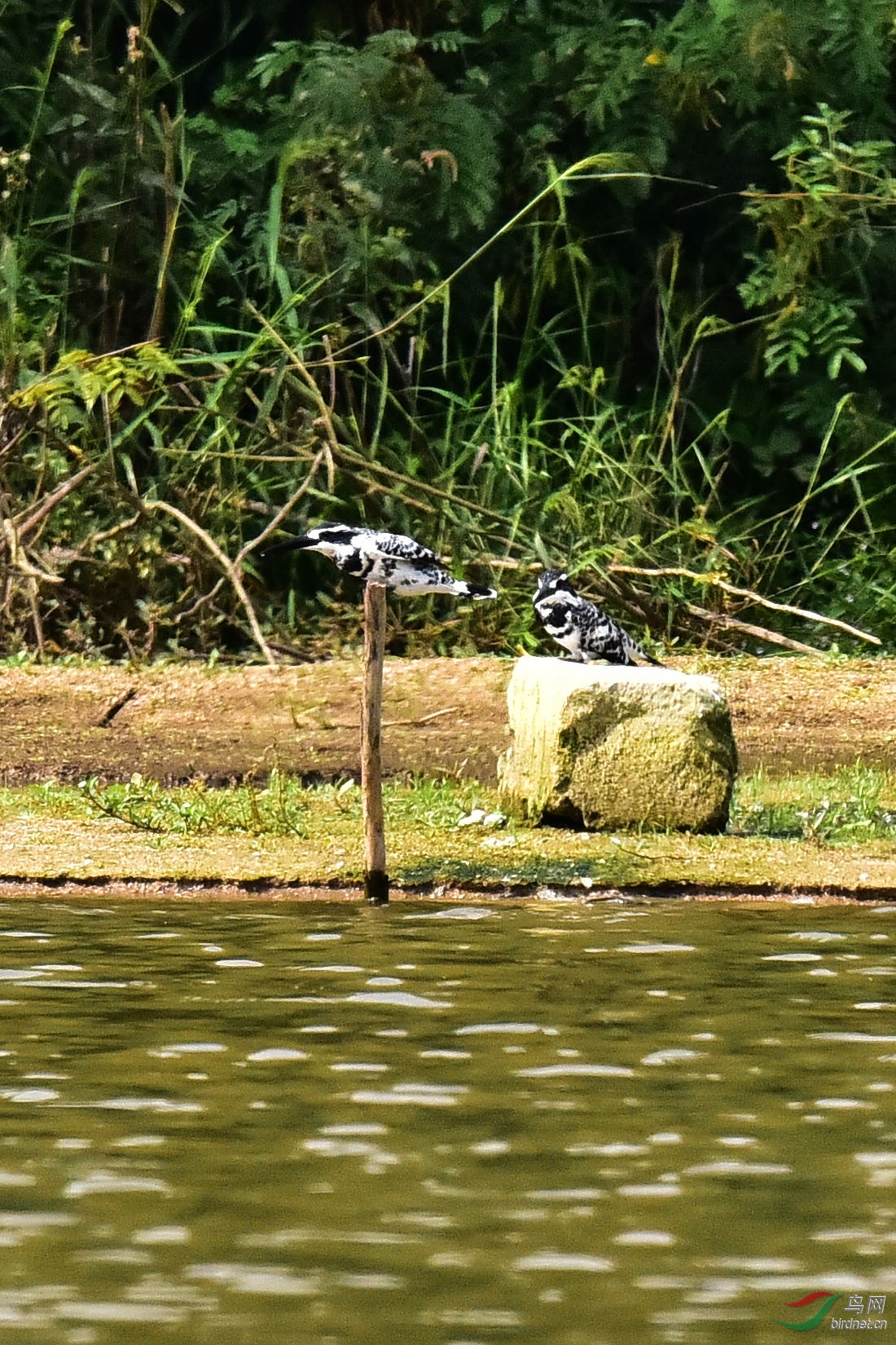 DSC_0188.JPG