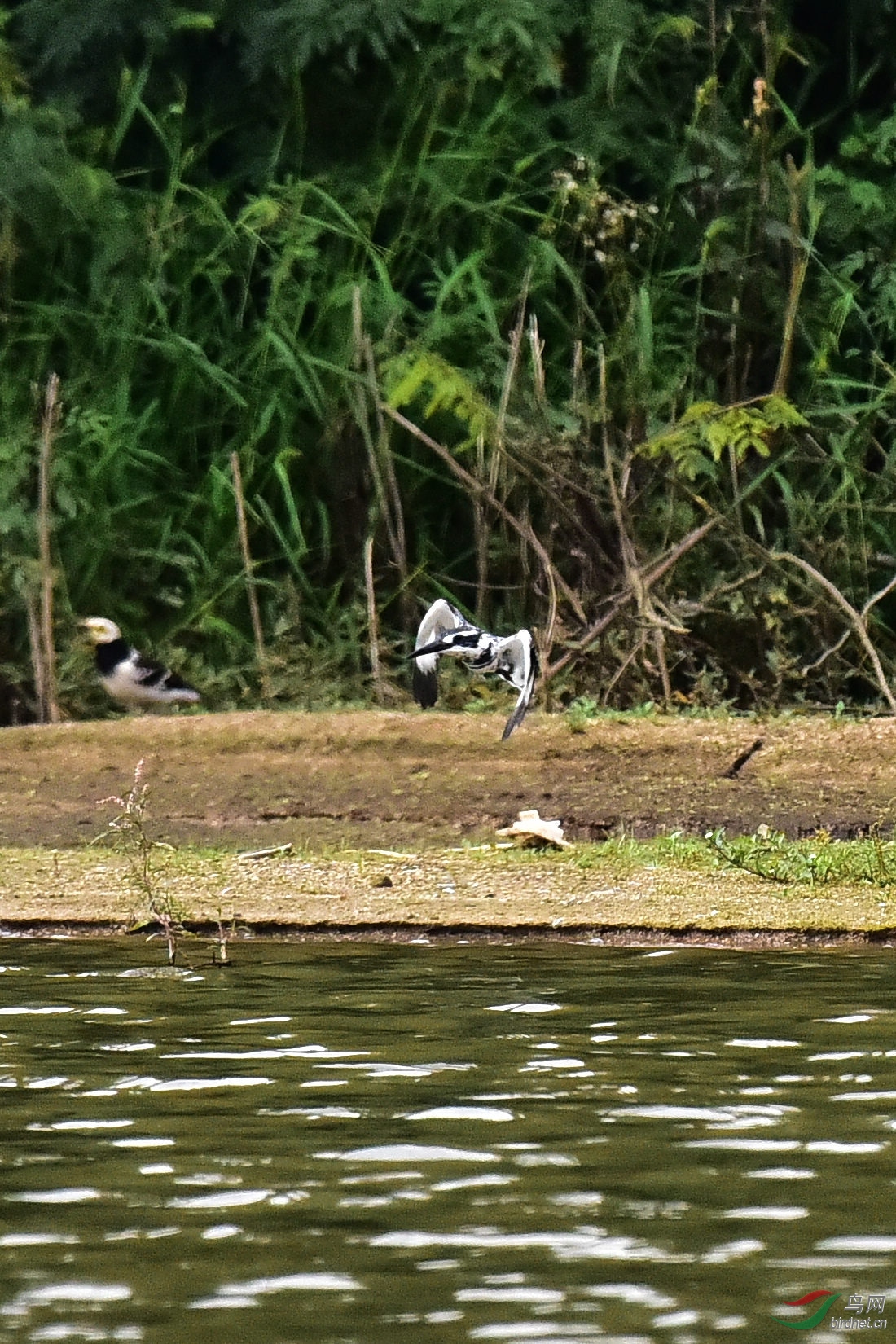 DSC_0193.JPG