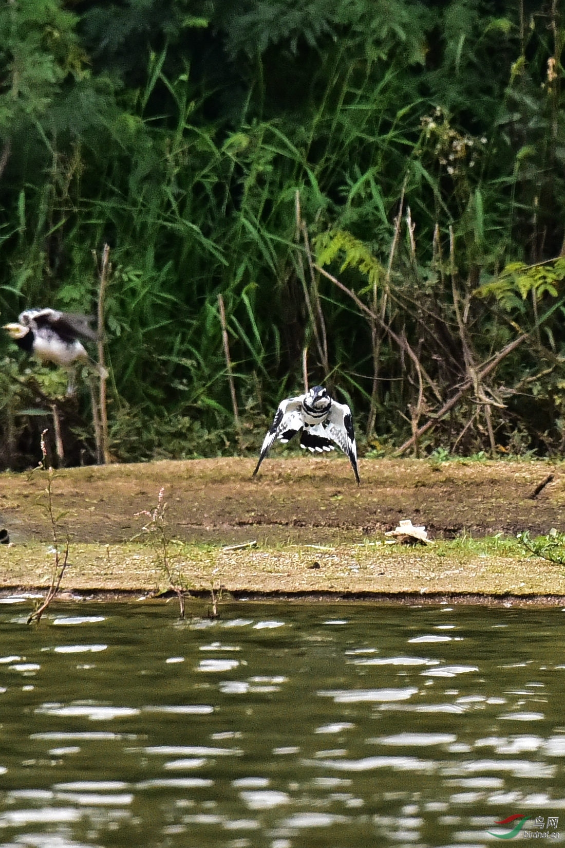 DSC_0194.JPG