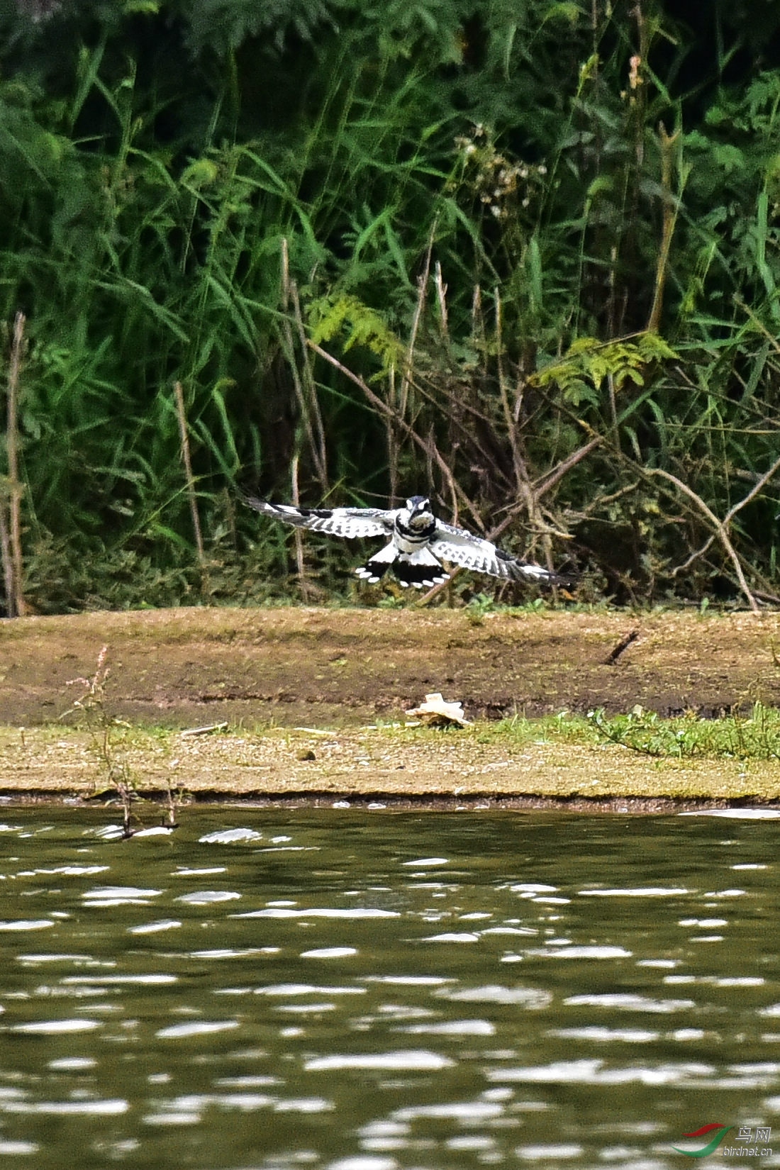 DSC_0195.JPG