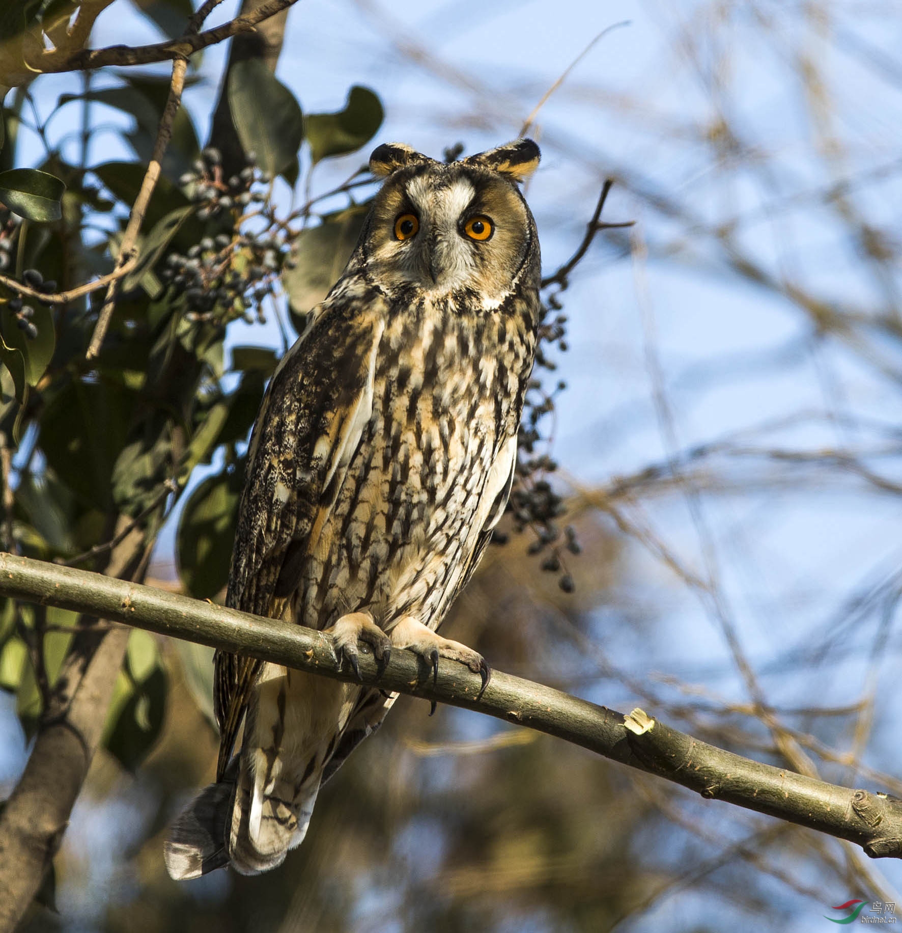 杂拍- 第3页 - 河南版 henan 鸟网