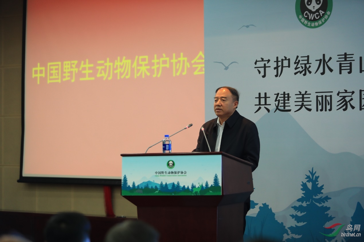 纪念中国野生动物保护协会成立35周年座谈会在京举办 - 第3页 - 生态