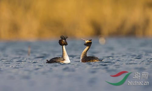 ET2W0129.jpg