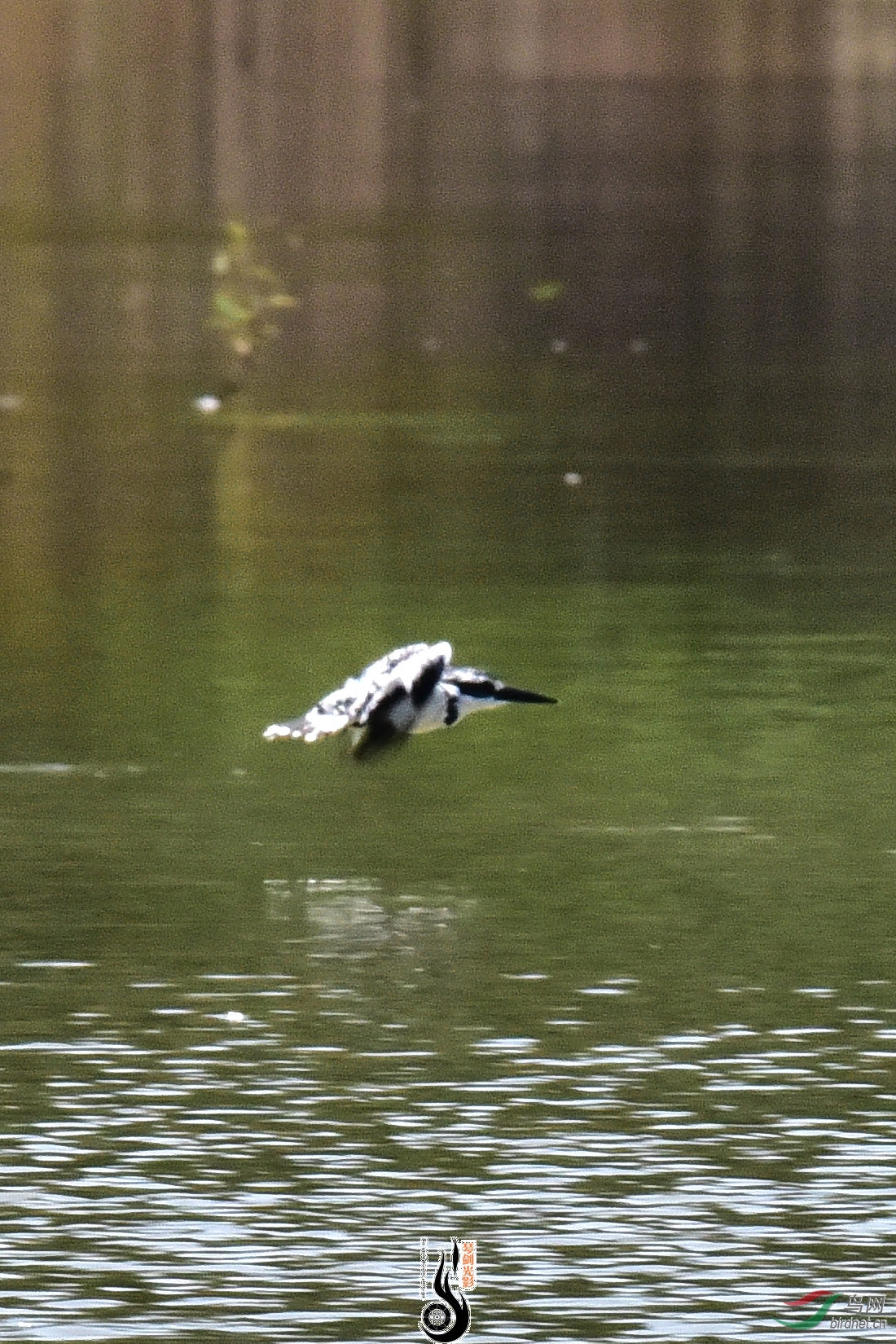 DSC_0244.JPG