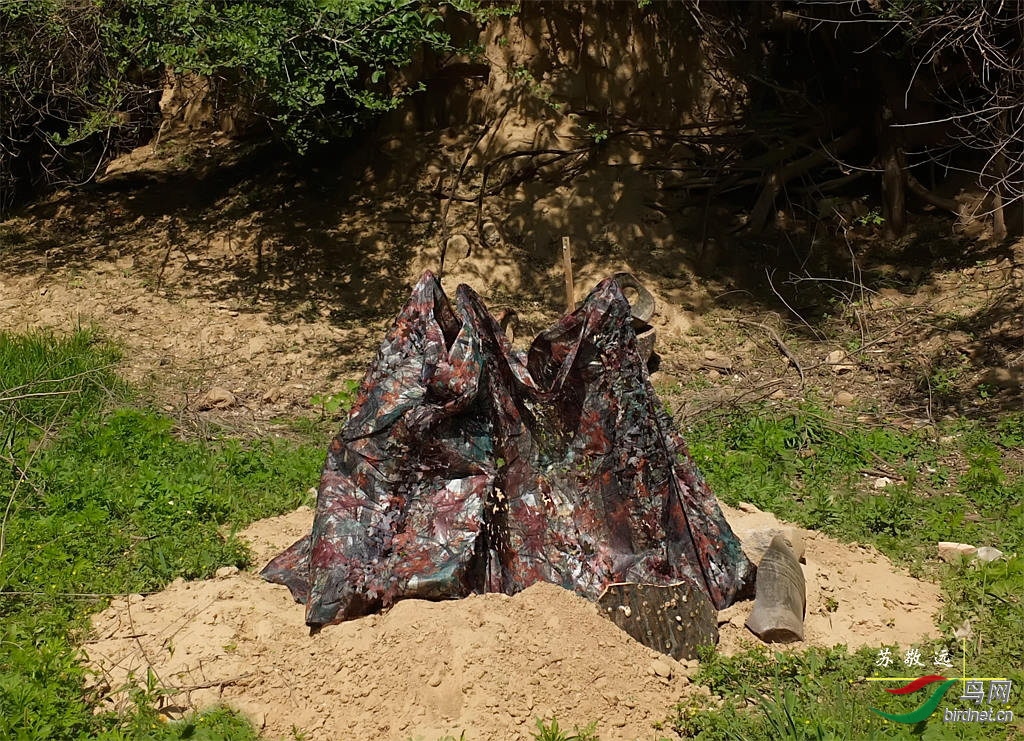 288�������㱱��ʱ�������εĵط�.jpg