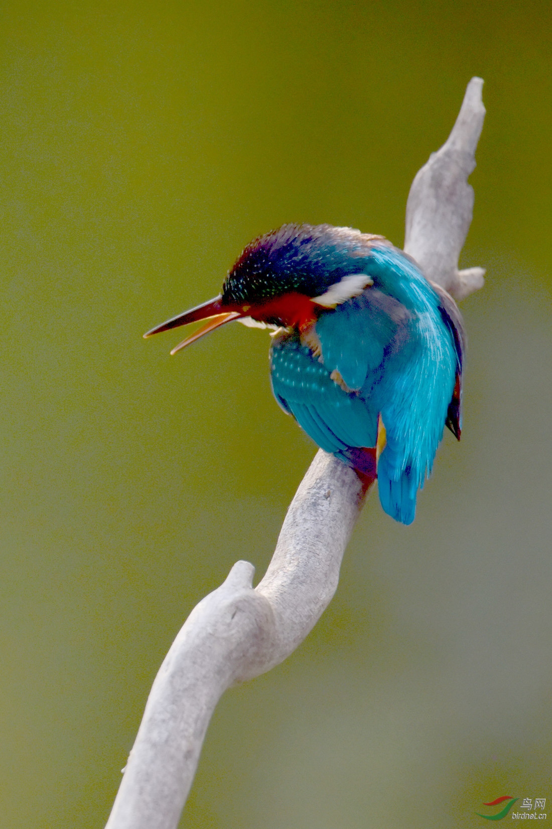 DSC_0253.JPG