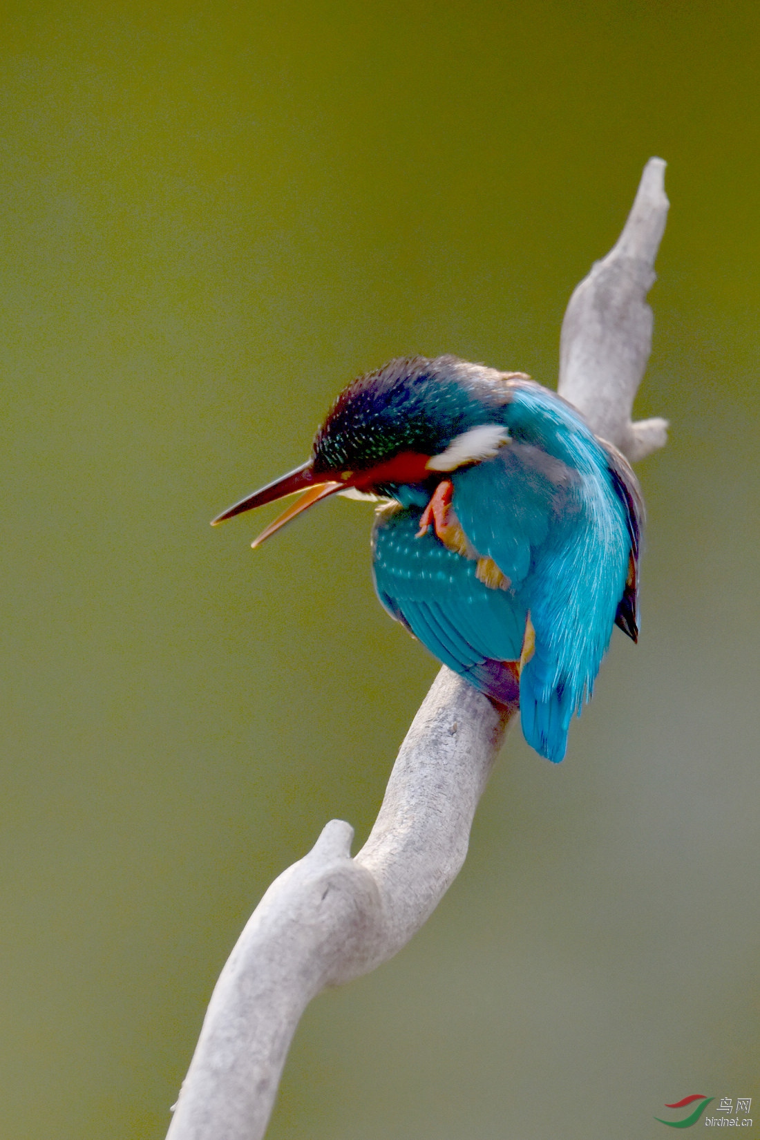 DSC_0254.JPG