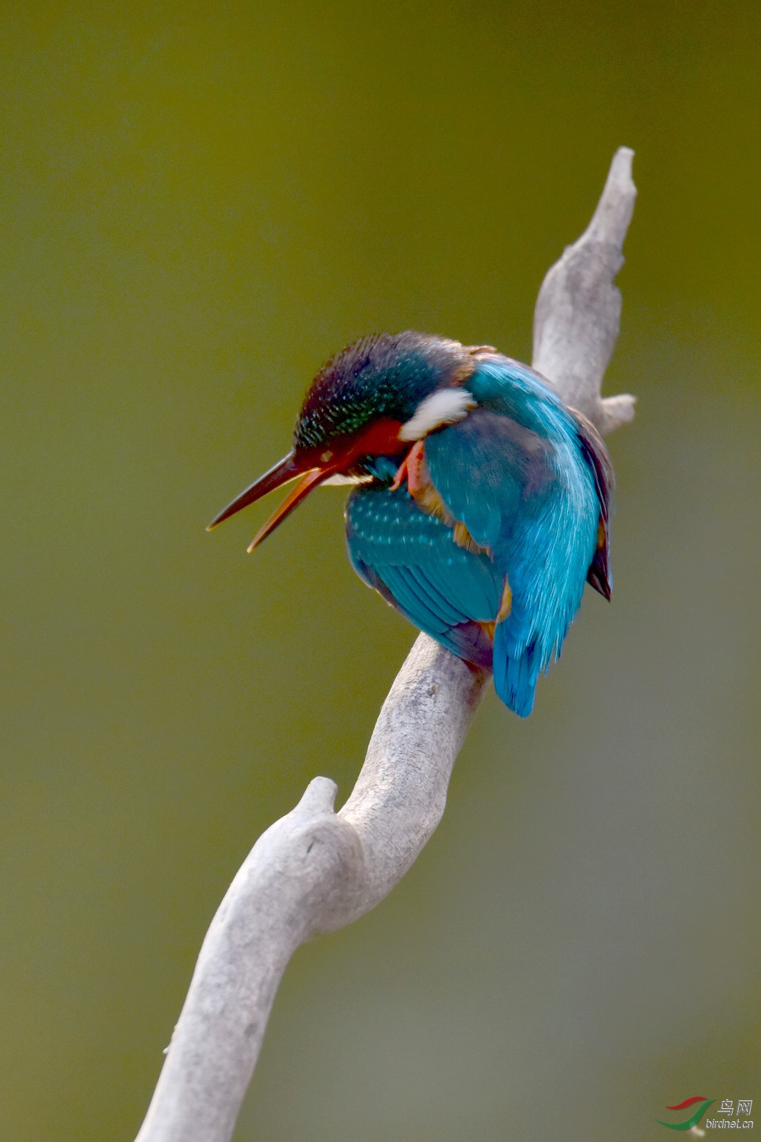 DSC_0255.JPG
