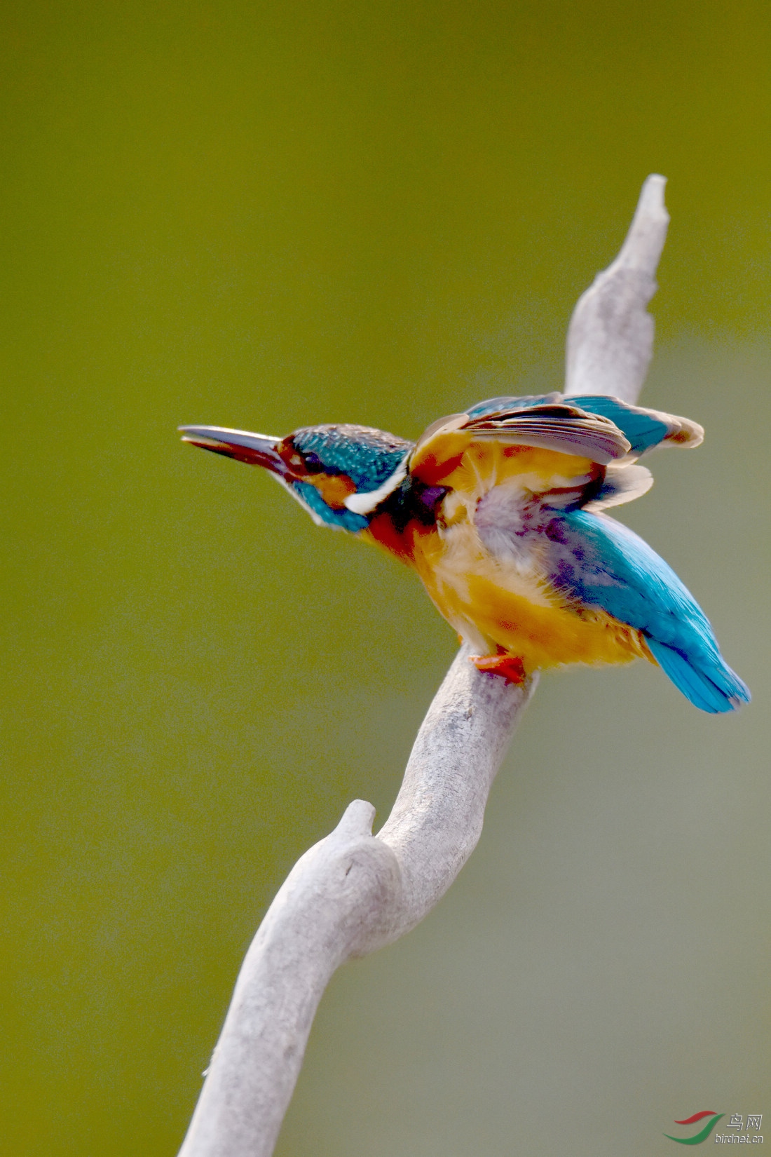 DSC_0256.JPG