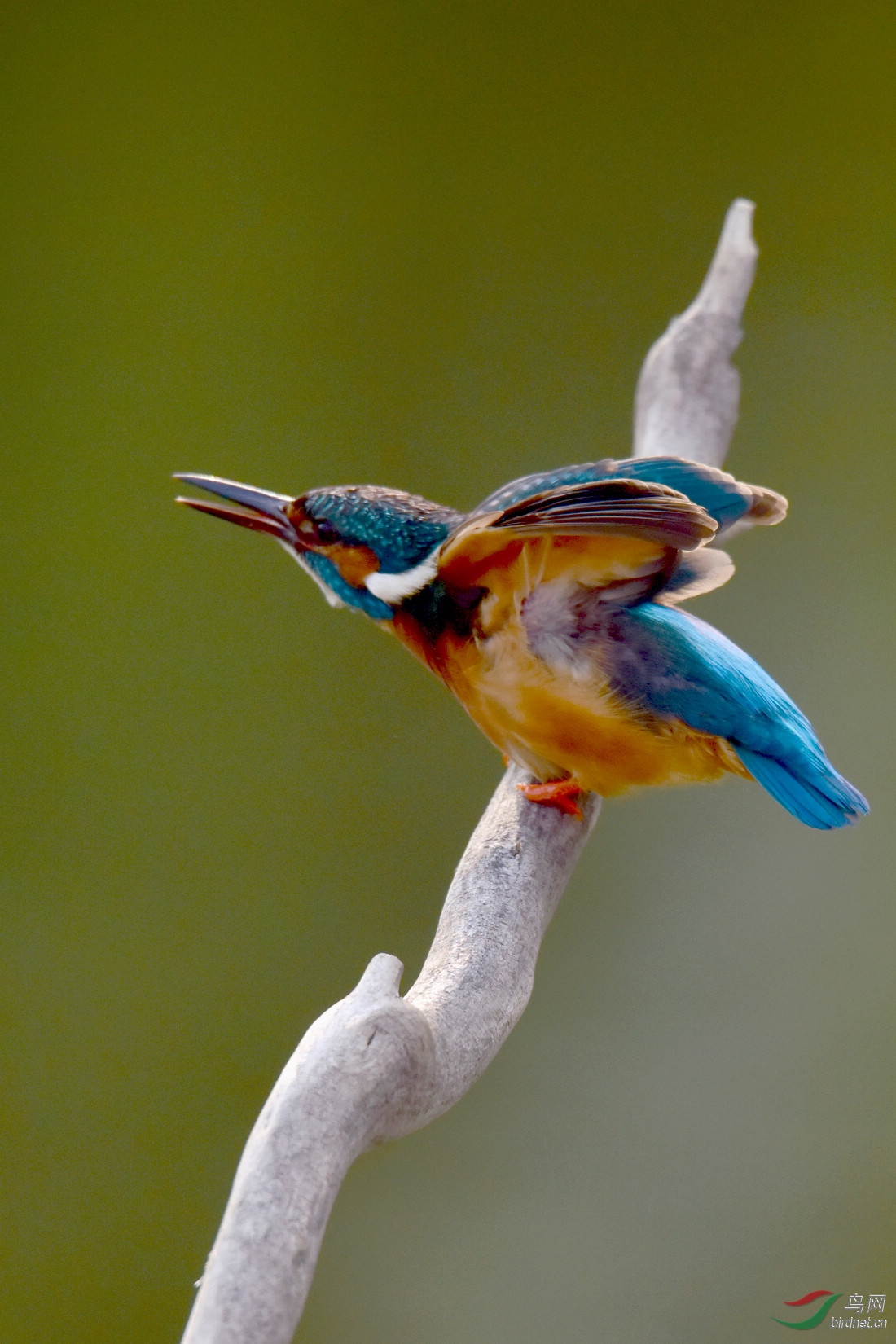DSC_0257.JPG
