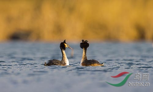 ET2W0122.jpg