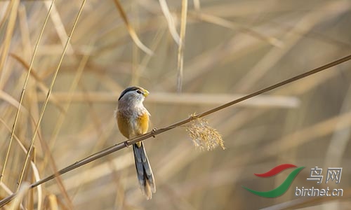 AM3T1316.jpg