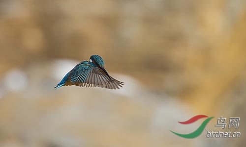 ET2W0902.jpg