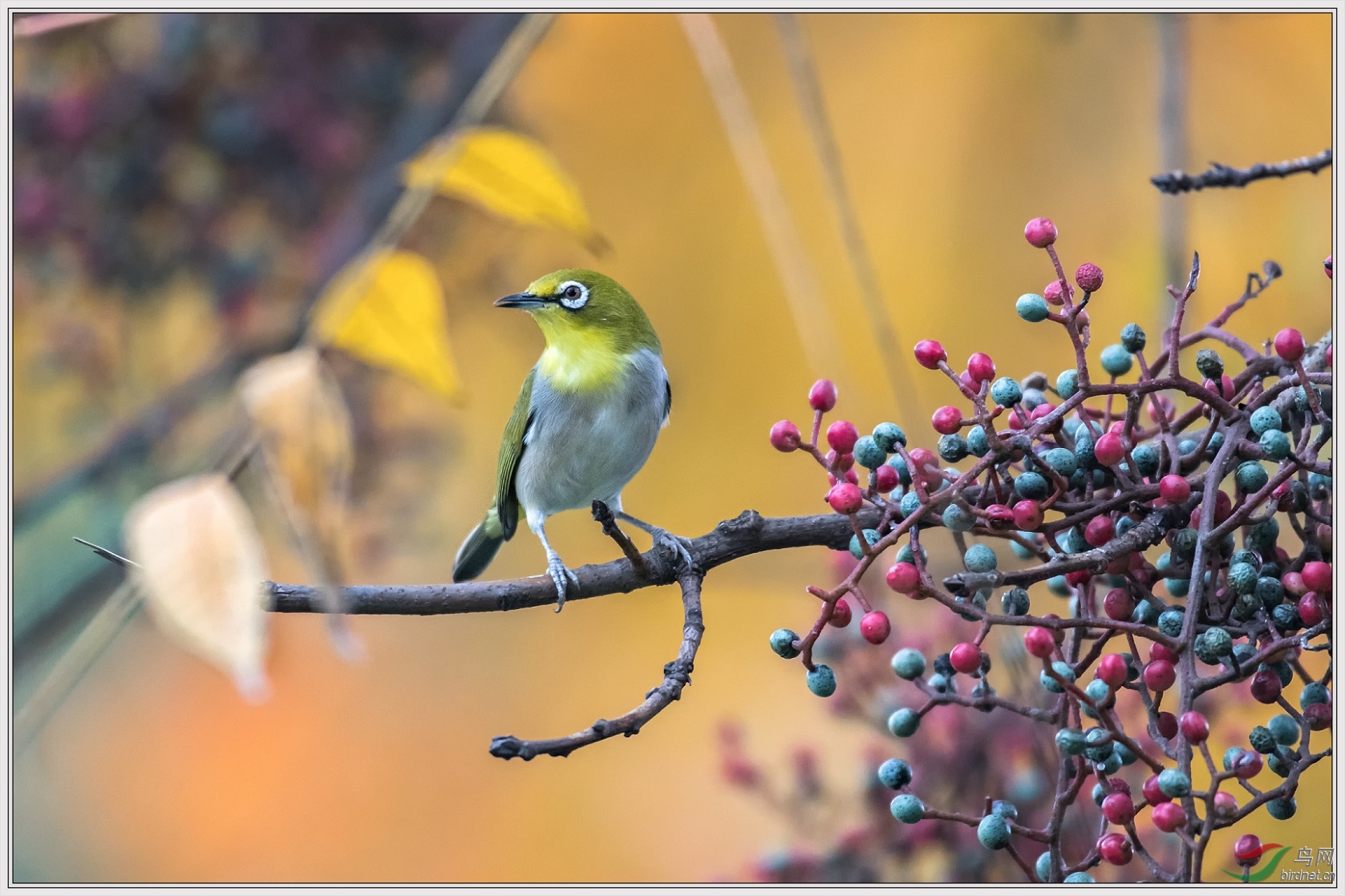 8����������