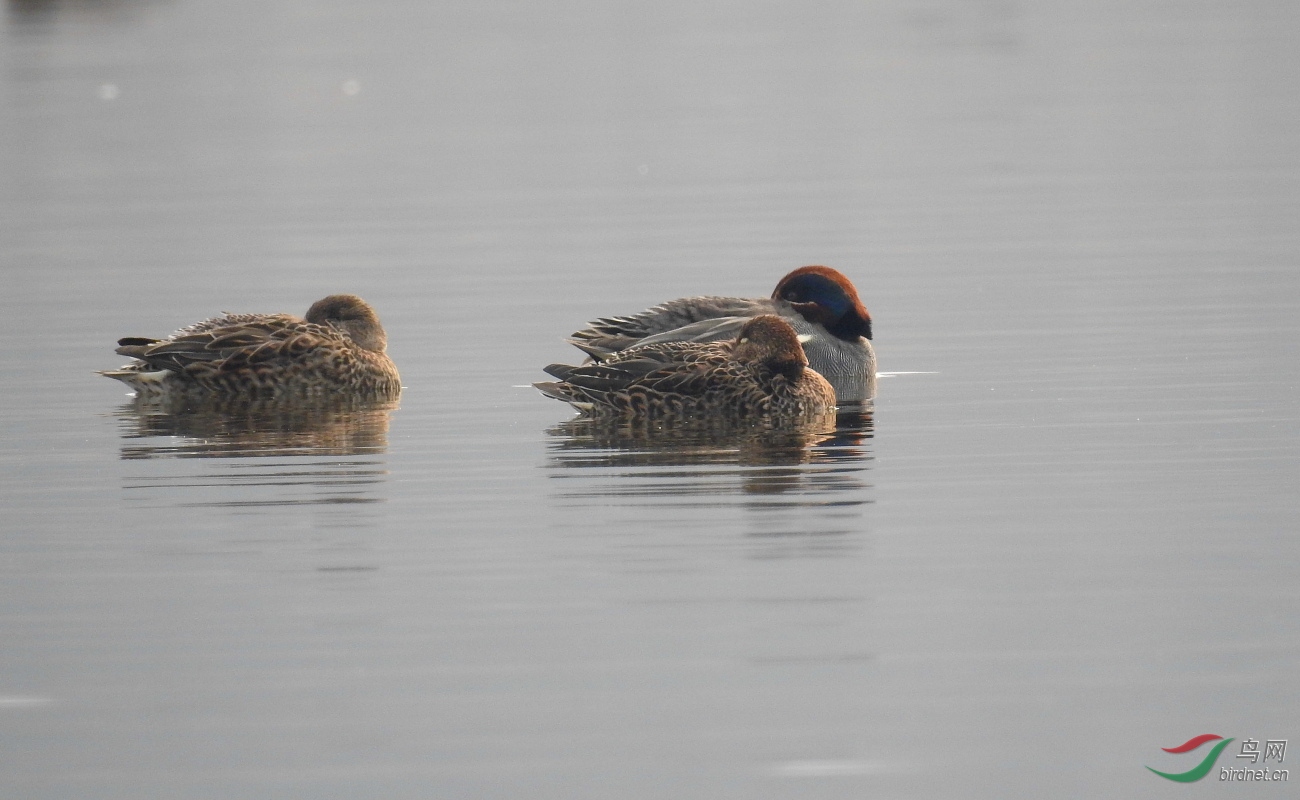 70�� 18��2���̳�Ѽ