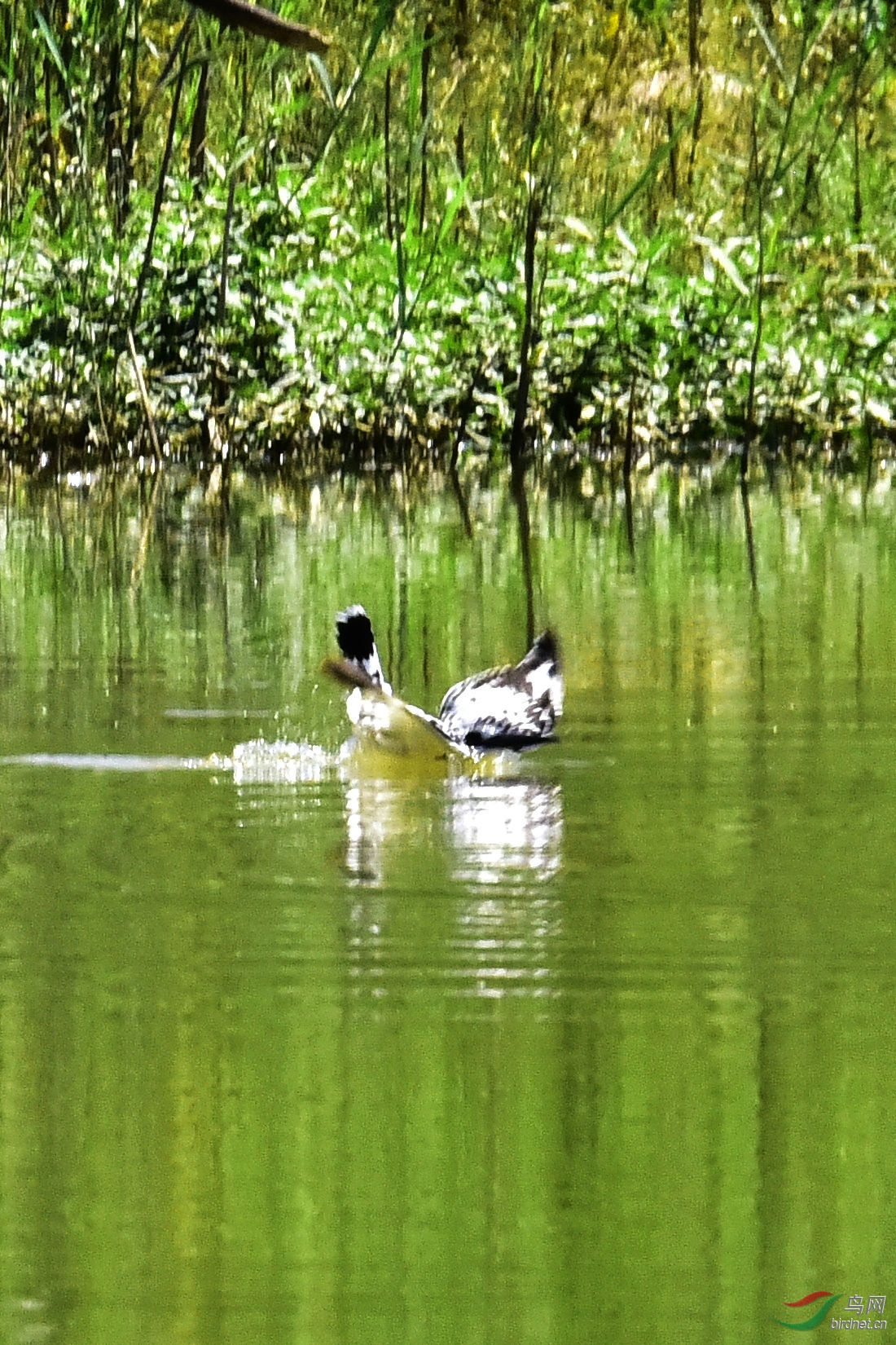 DSC_0278.JPG