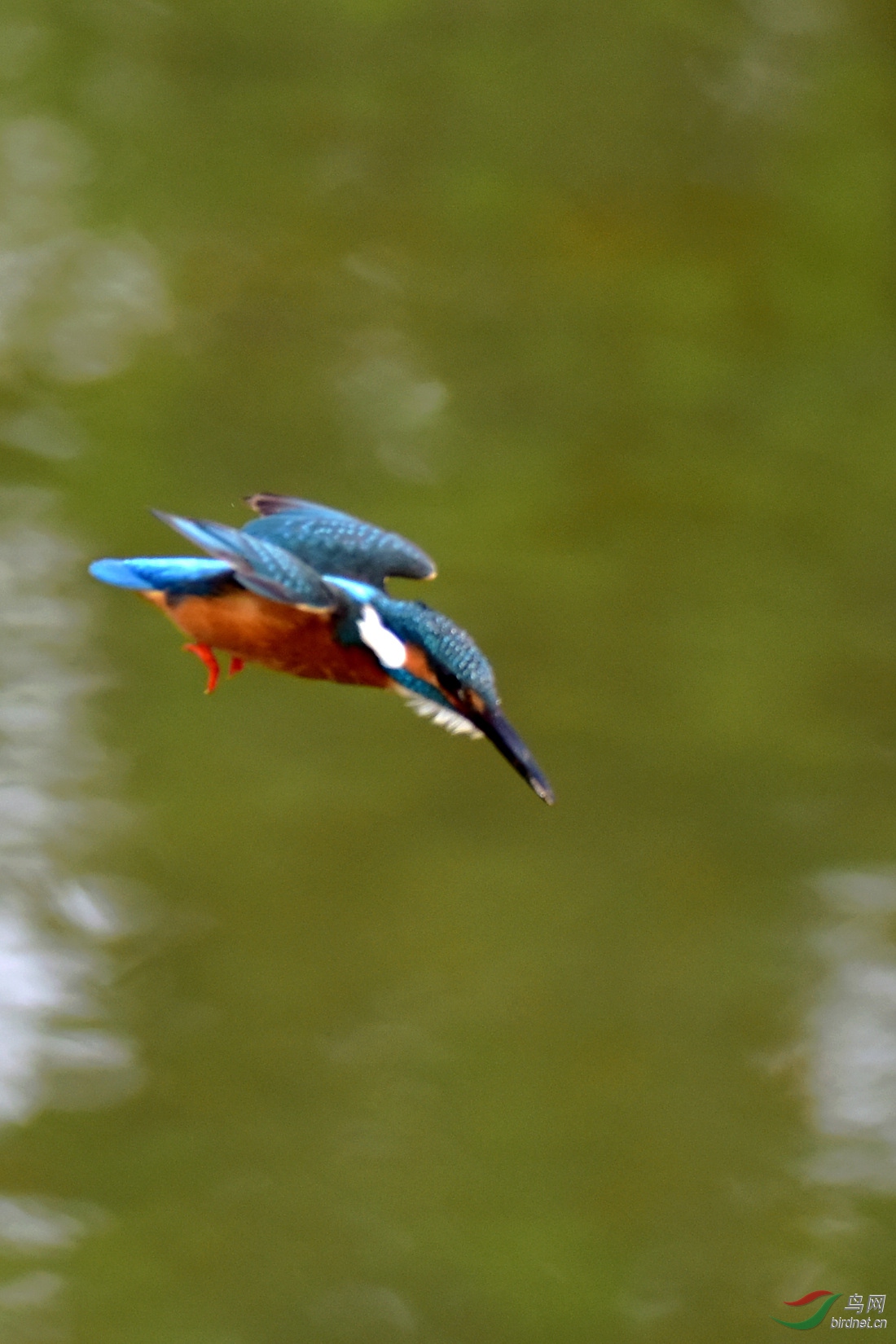DSC_0299.JPG