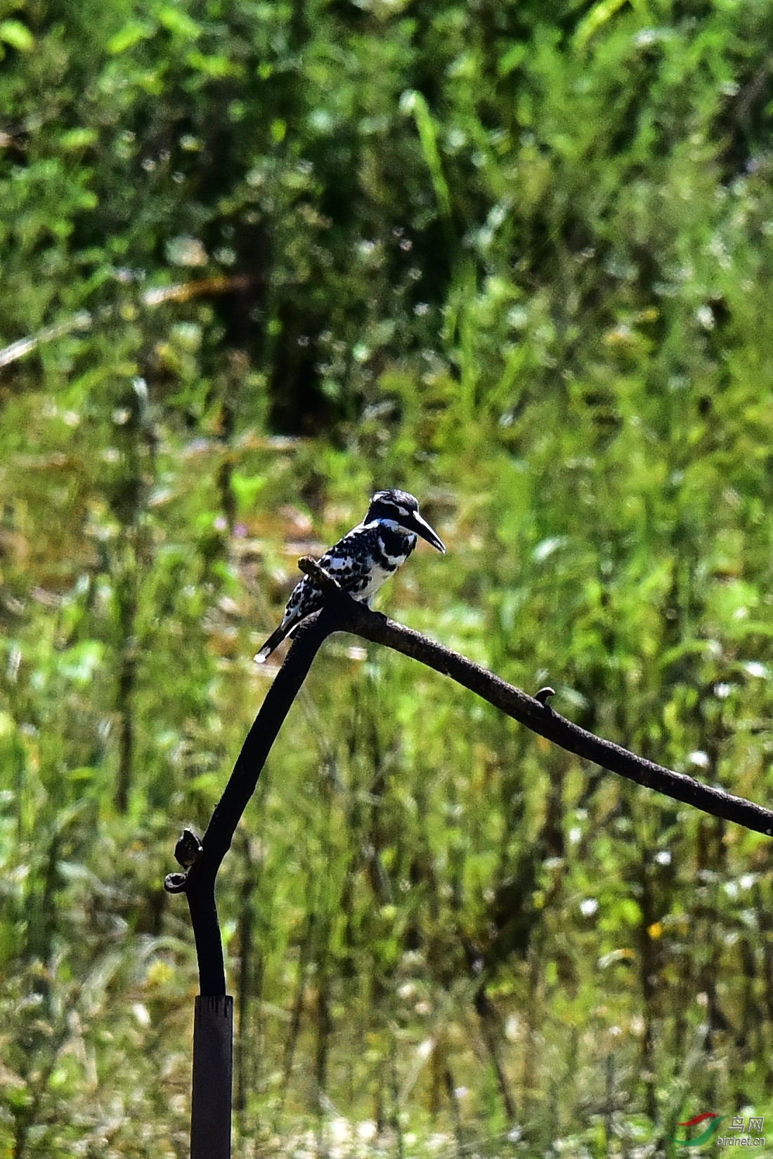 DSC_0314.JPG