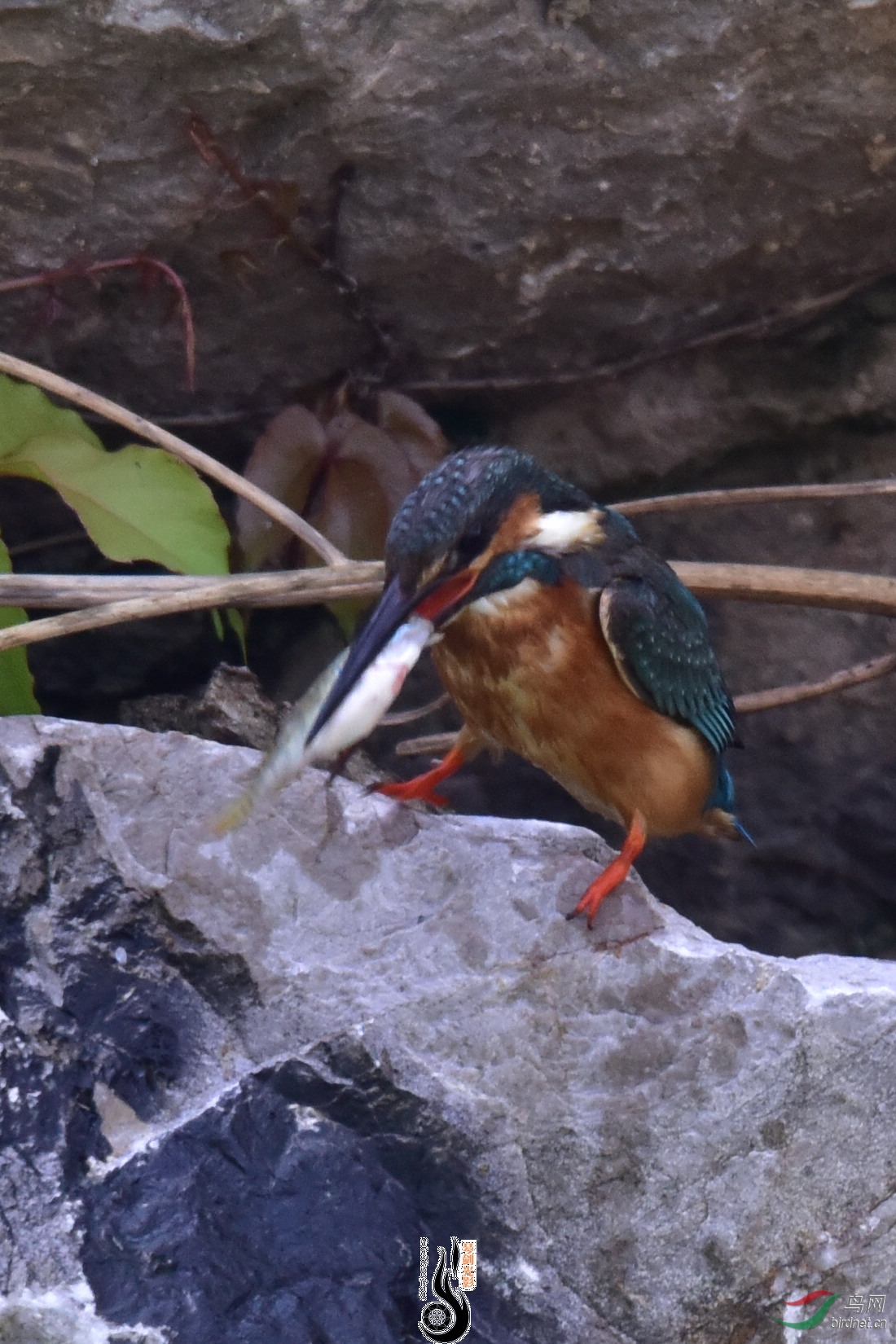DSC_0343.JPG