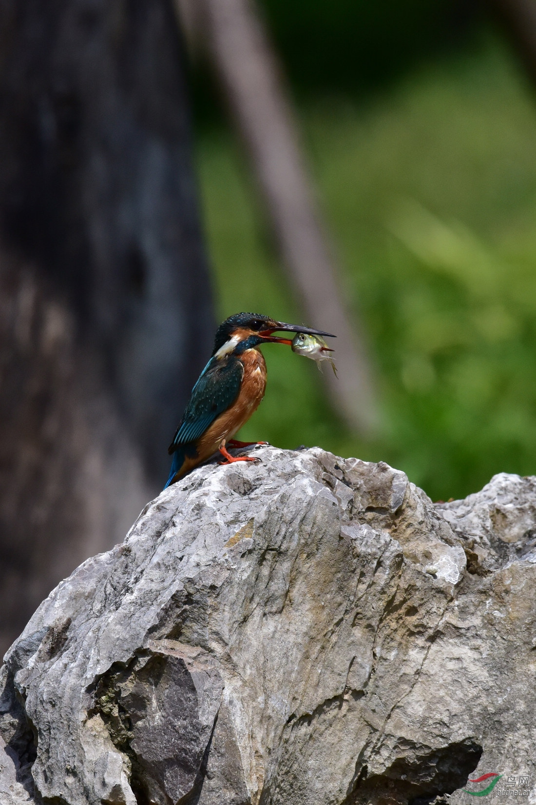 DSC_0351.JPG