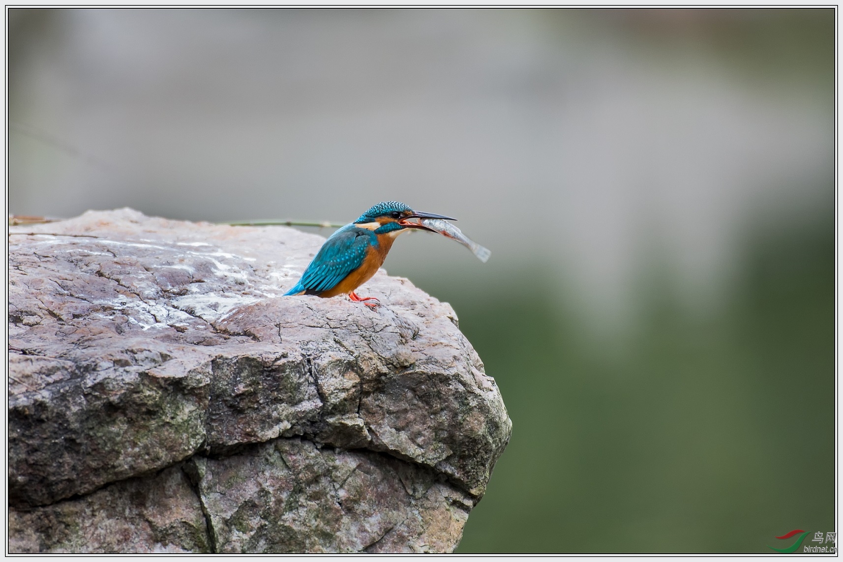 12���в���