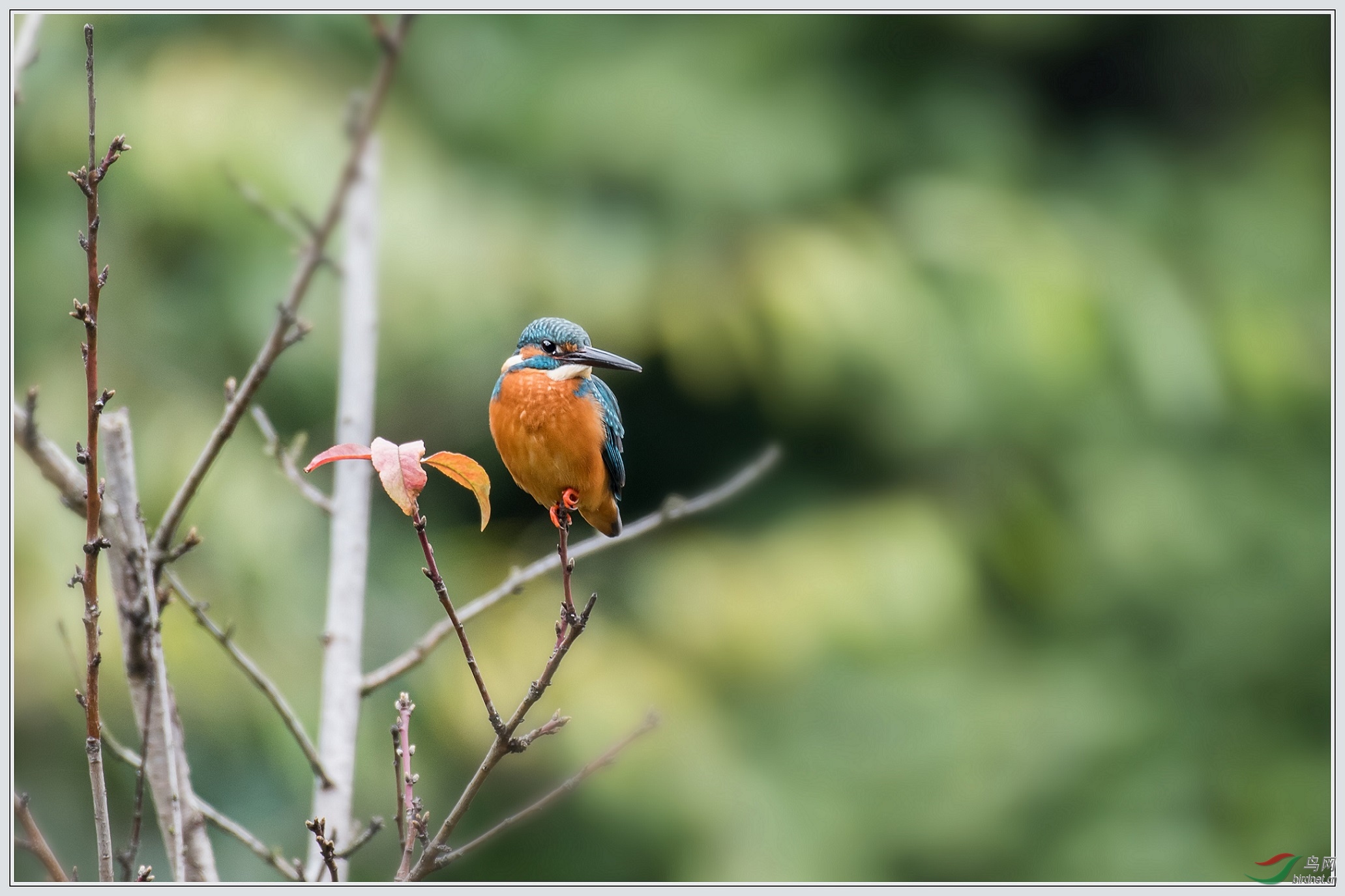 12���в���