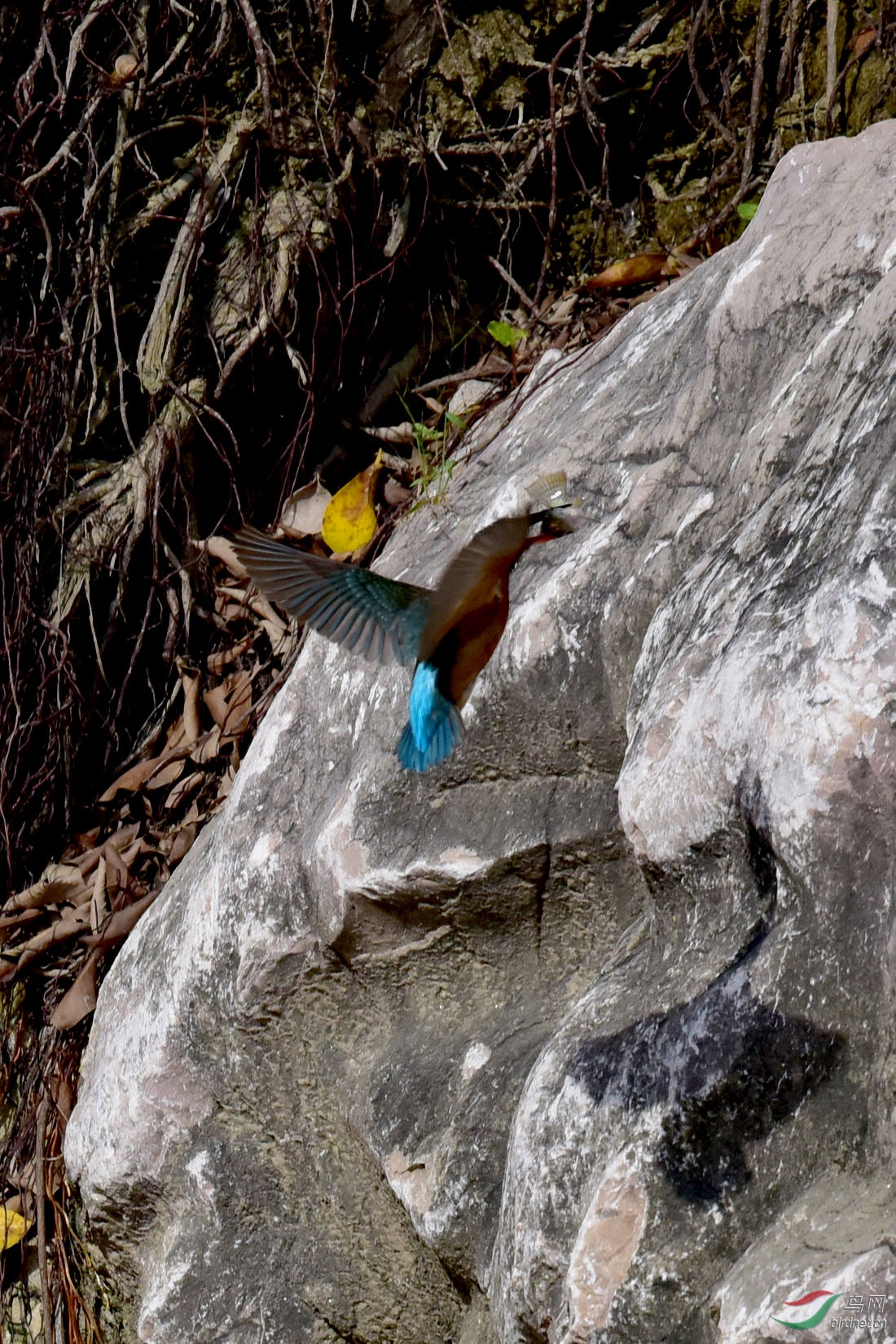 DSC_0354.JPG